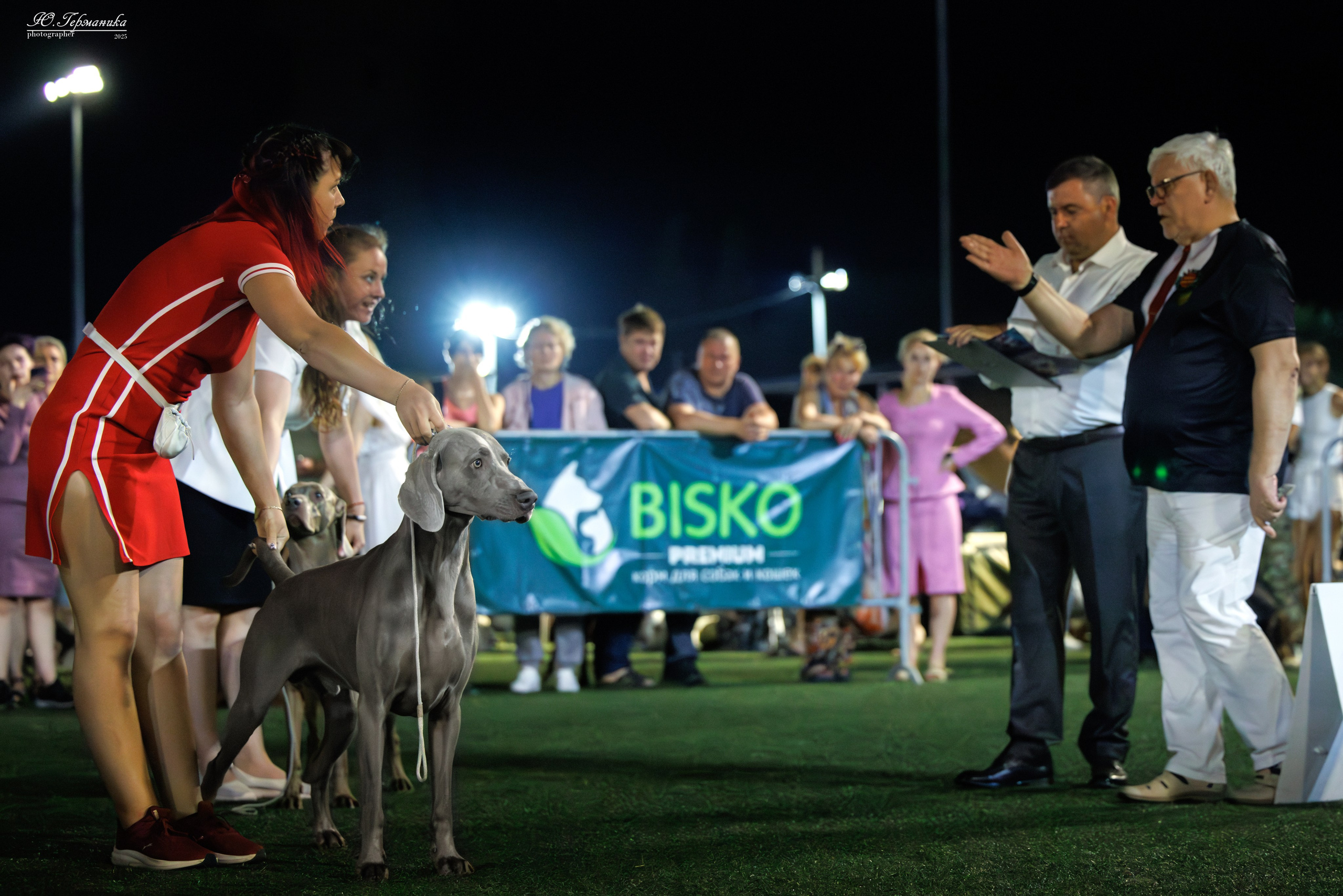 Калининград 25-27.07 Волгоград 1-3.08 2025. Фотограф-анималист Юлия Германика