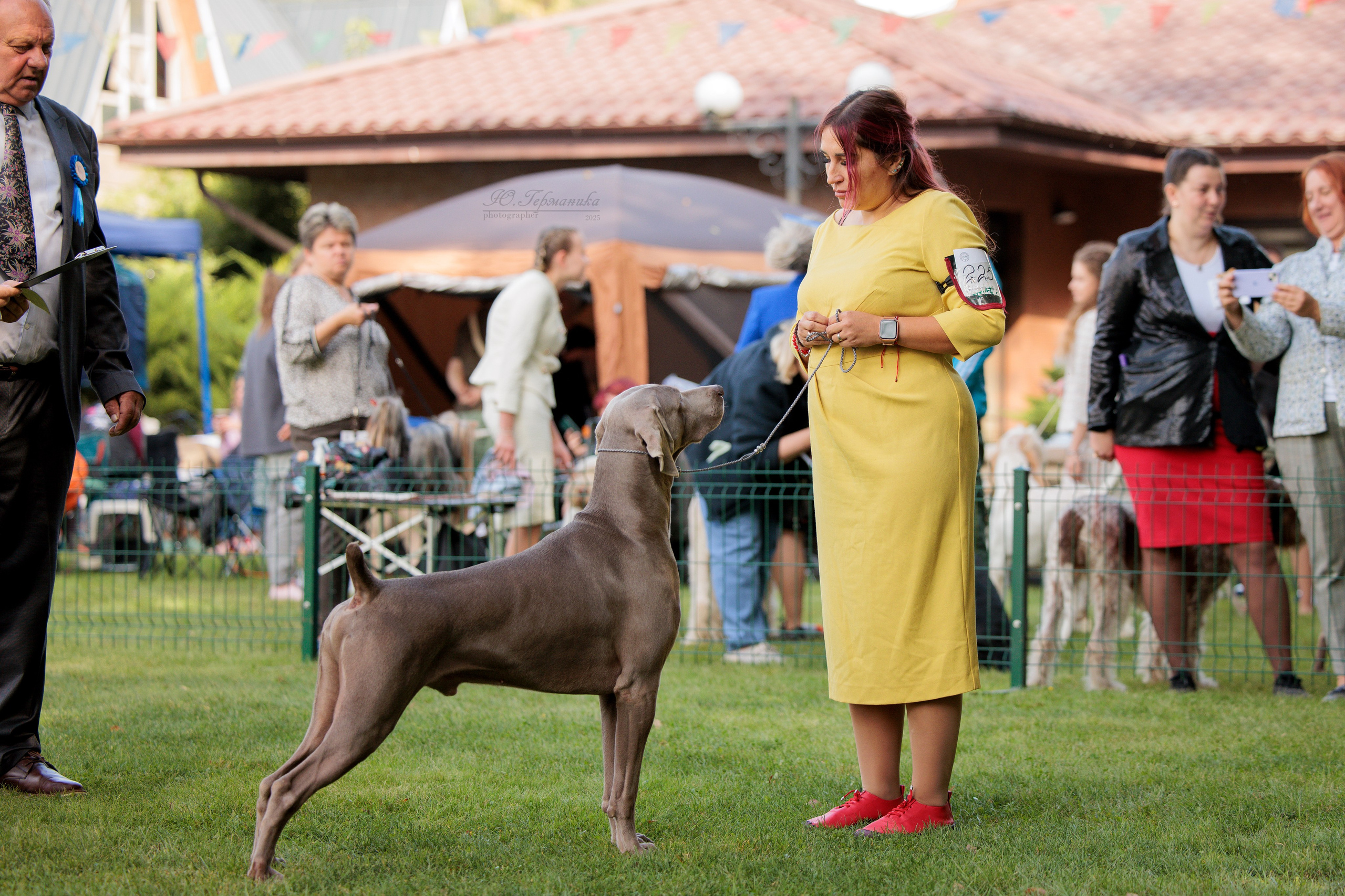 Бишкек 3х CACIB 26-28.09.2025. Фотограф-анималист Юлия Германика