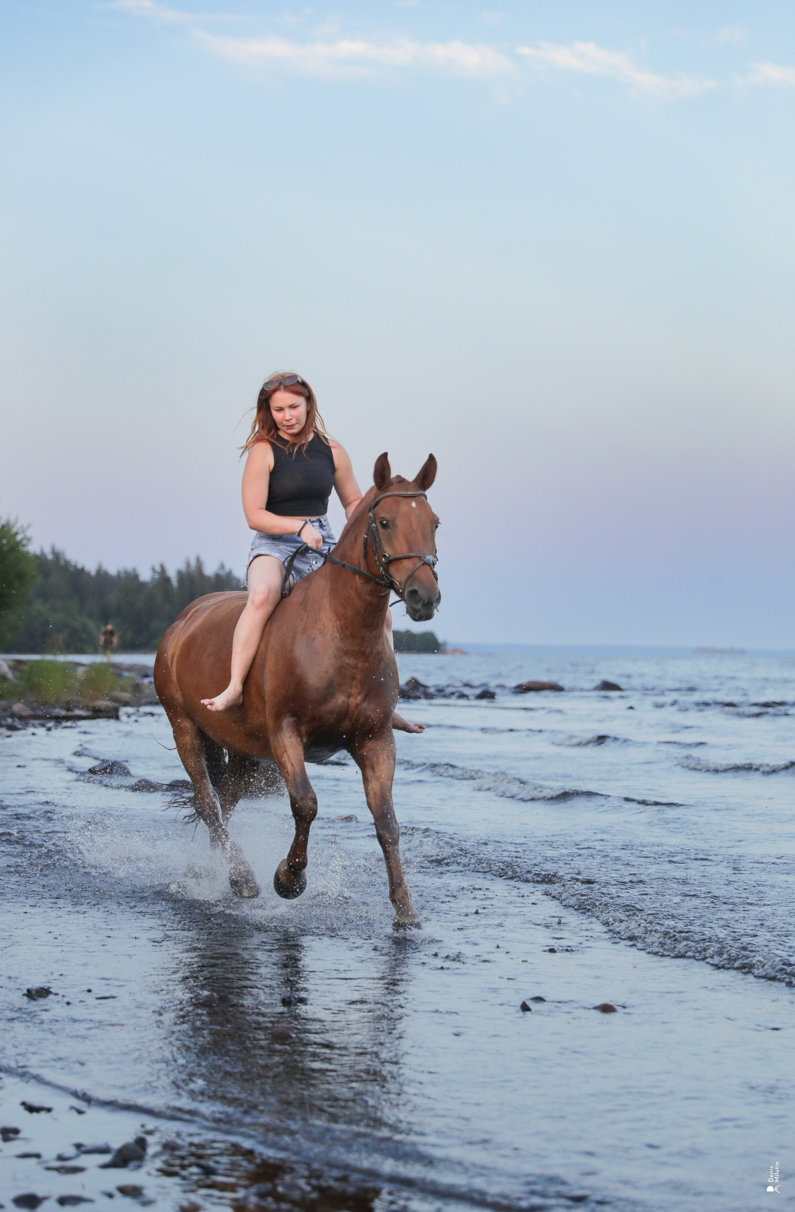 Фото с лошадьми. Портретный фотограф Денис Милютин