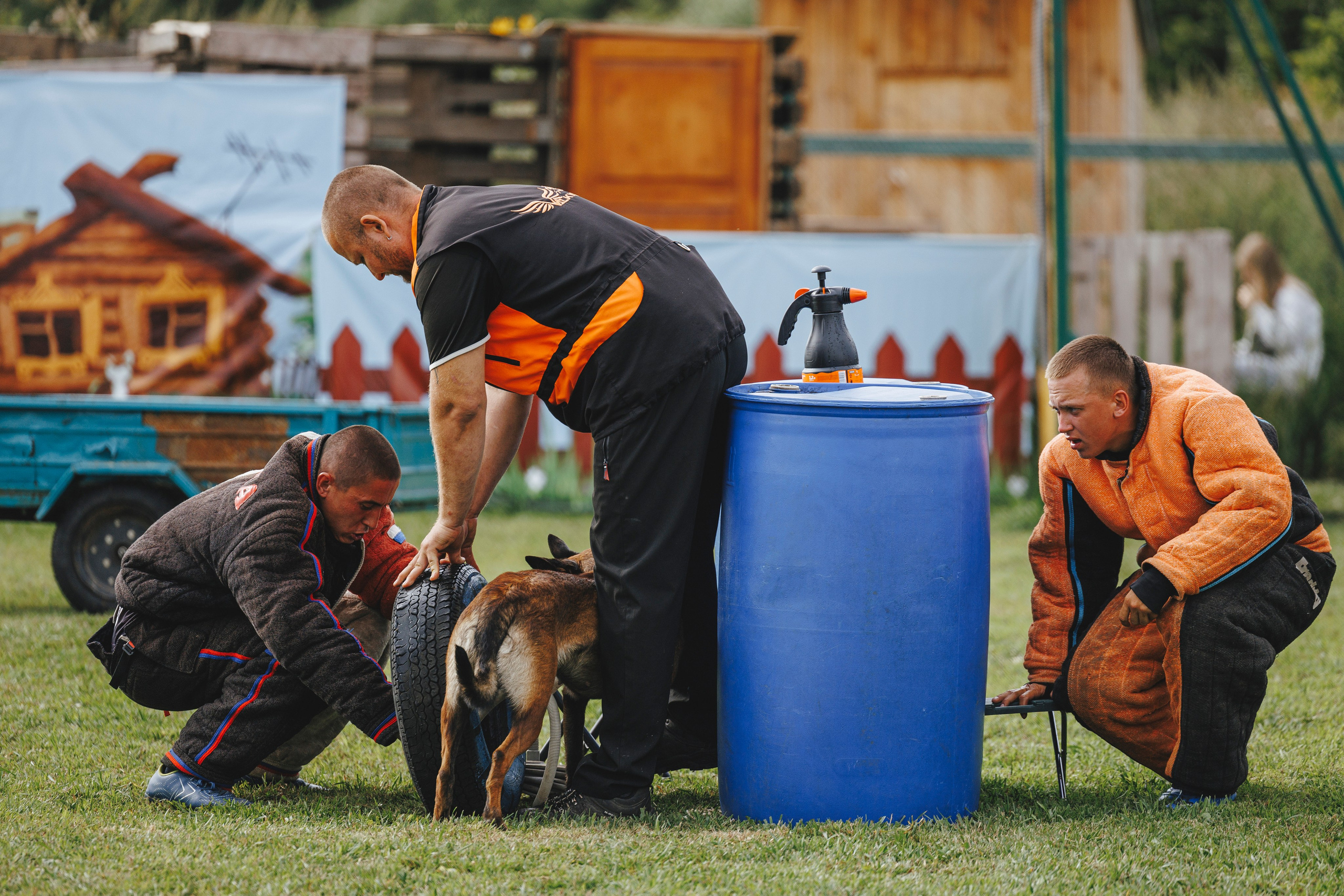 08.08.25-10.08.25 ЧР по мондьорингу г. Вологда. Фотограф-анималист Анна Маринич