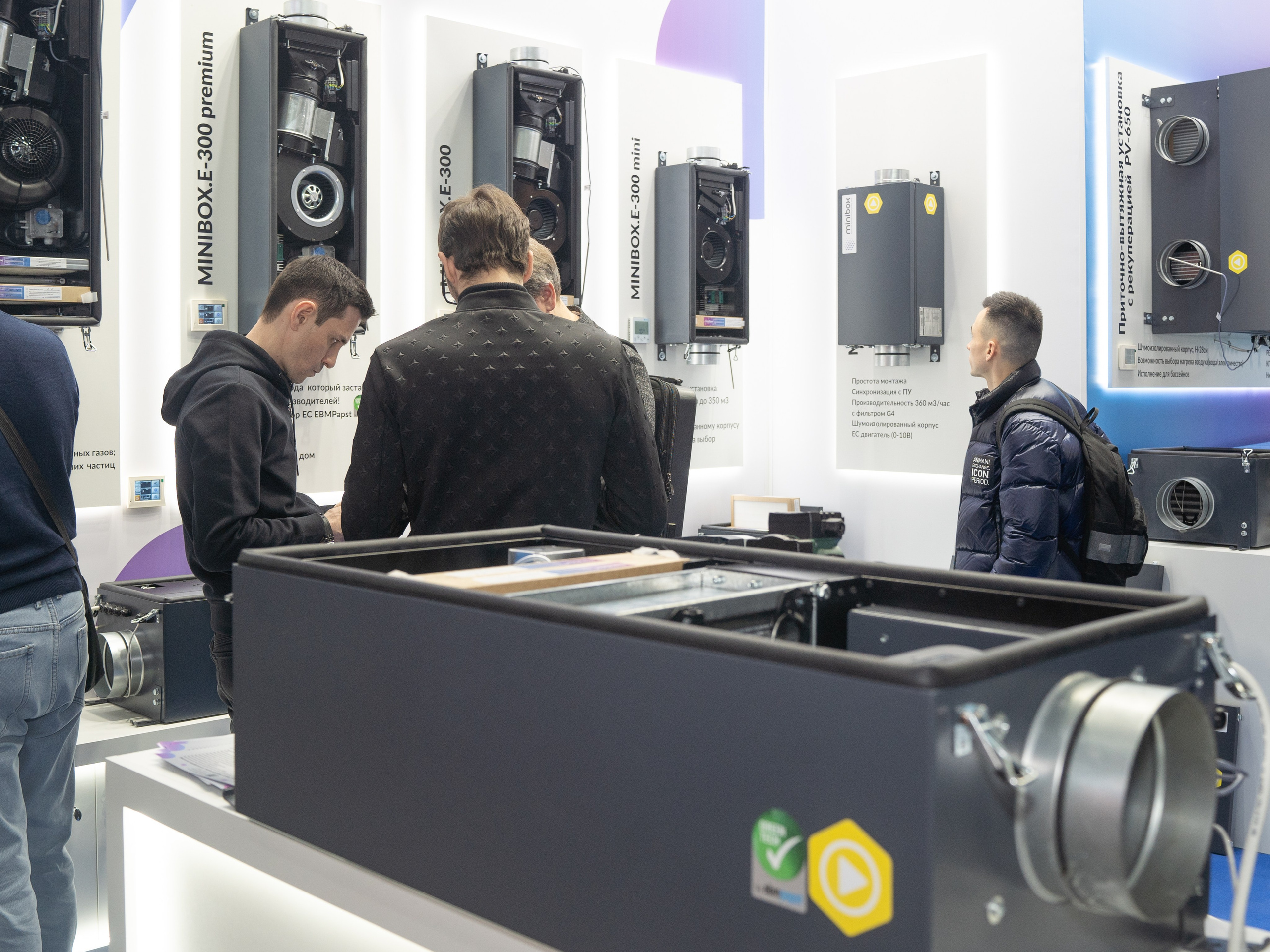 Крокус Вентиляция. Фотограф Зинаида Евдокимова