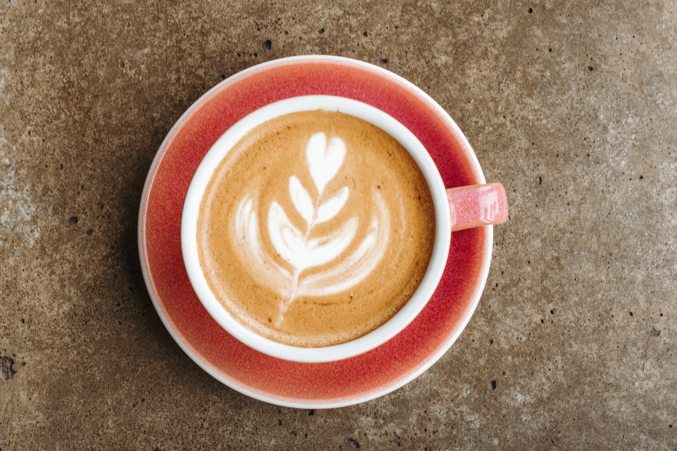 Bary Coffee. Фотограф на Юге России