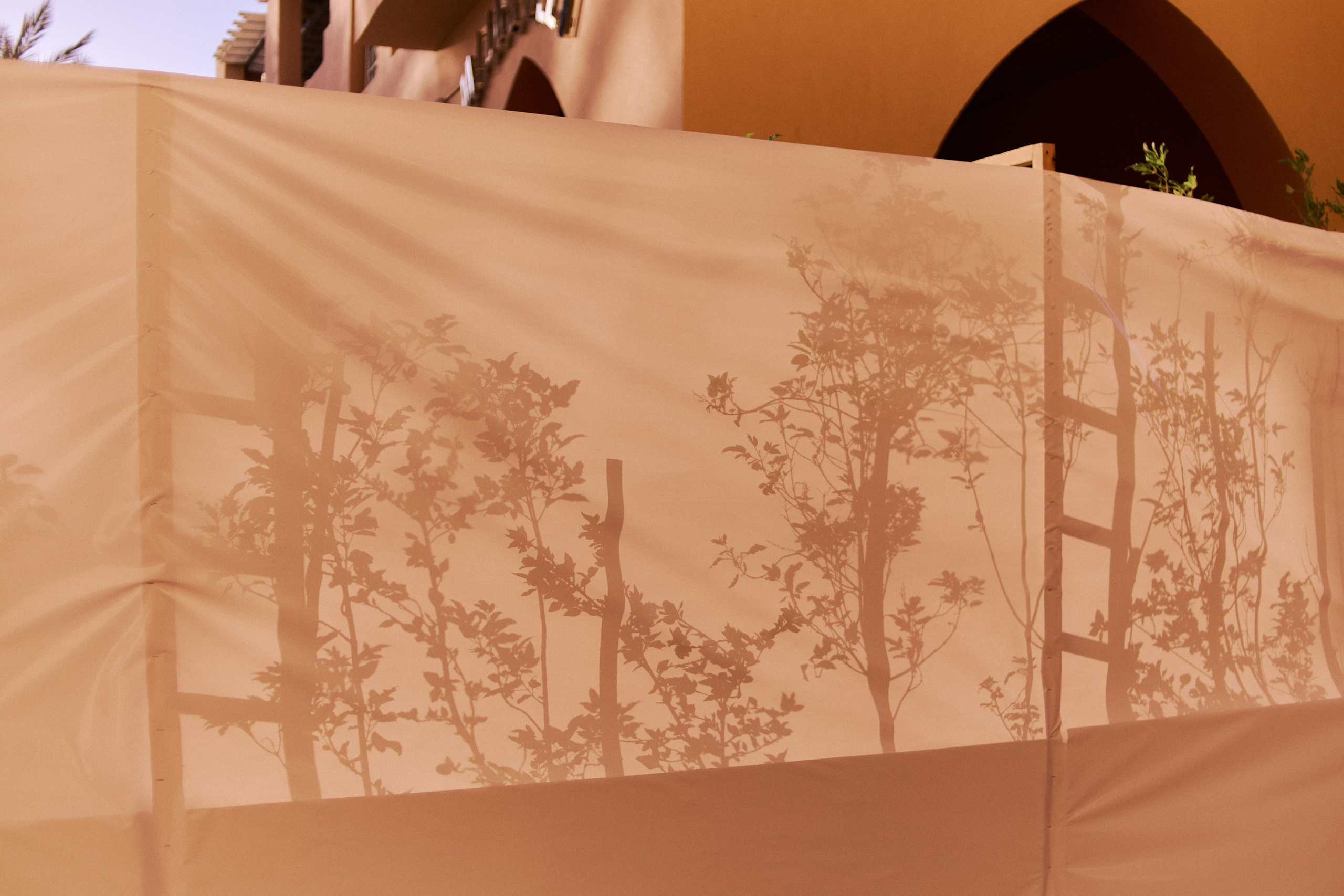 Другое 3. Jorgis Talè — photographer, kind person, teacher of arts and other mag