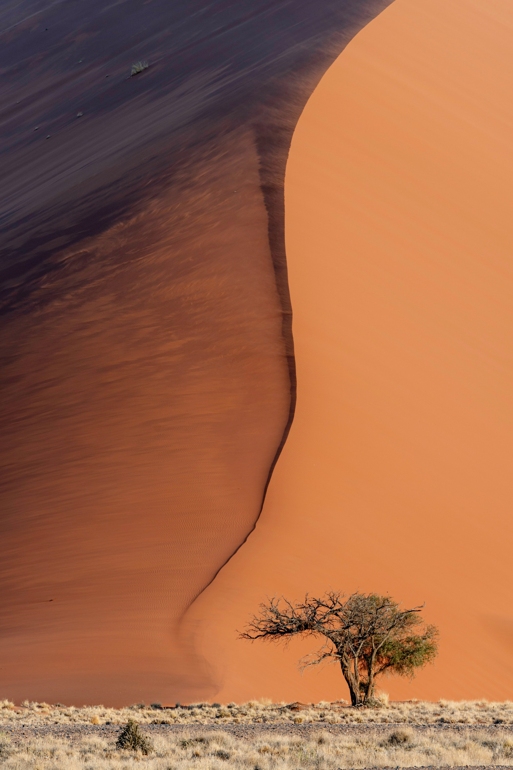 NATURE. Sailing Photographer Marina Semenova