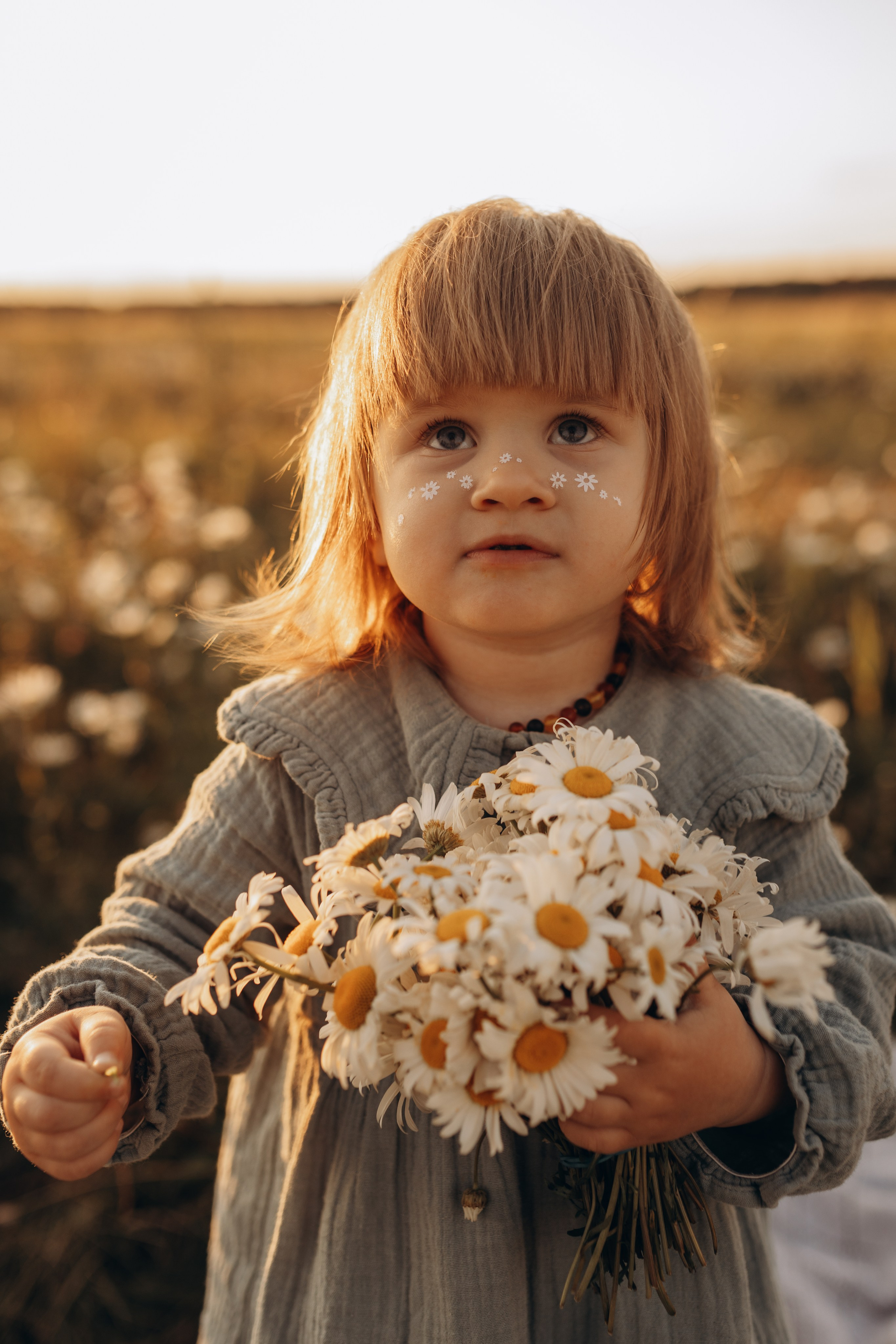 Закат на ромашковом поле. Фотограф в Ставрополе Svetlana Matveeva