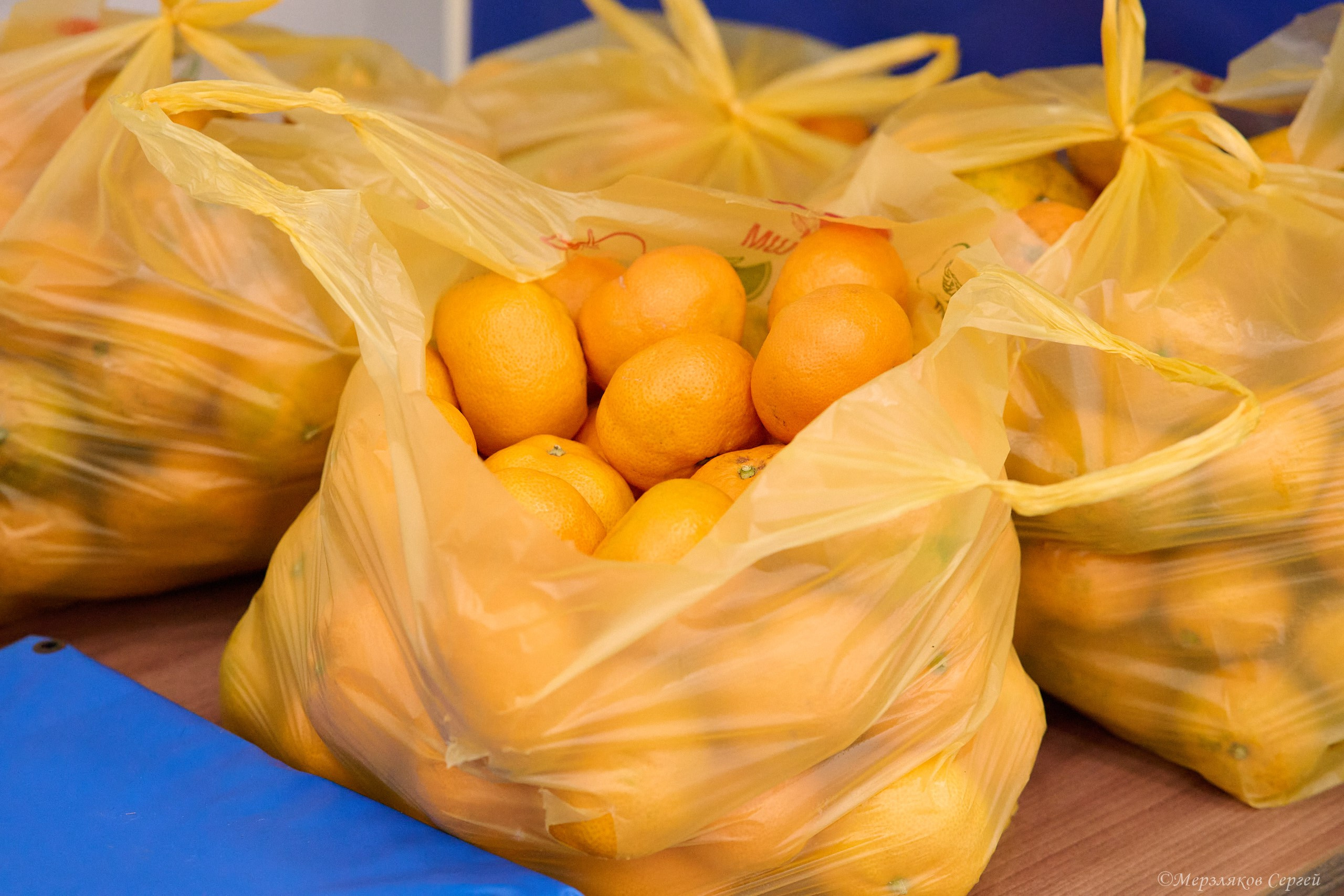 Новогодний волейбольный турнир. Ижевск. 16.12.23. Спортивный репортажный фотограф в Ижевске Сергей Мерзляков