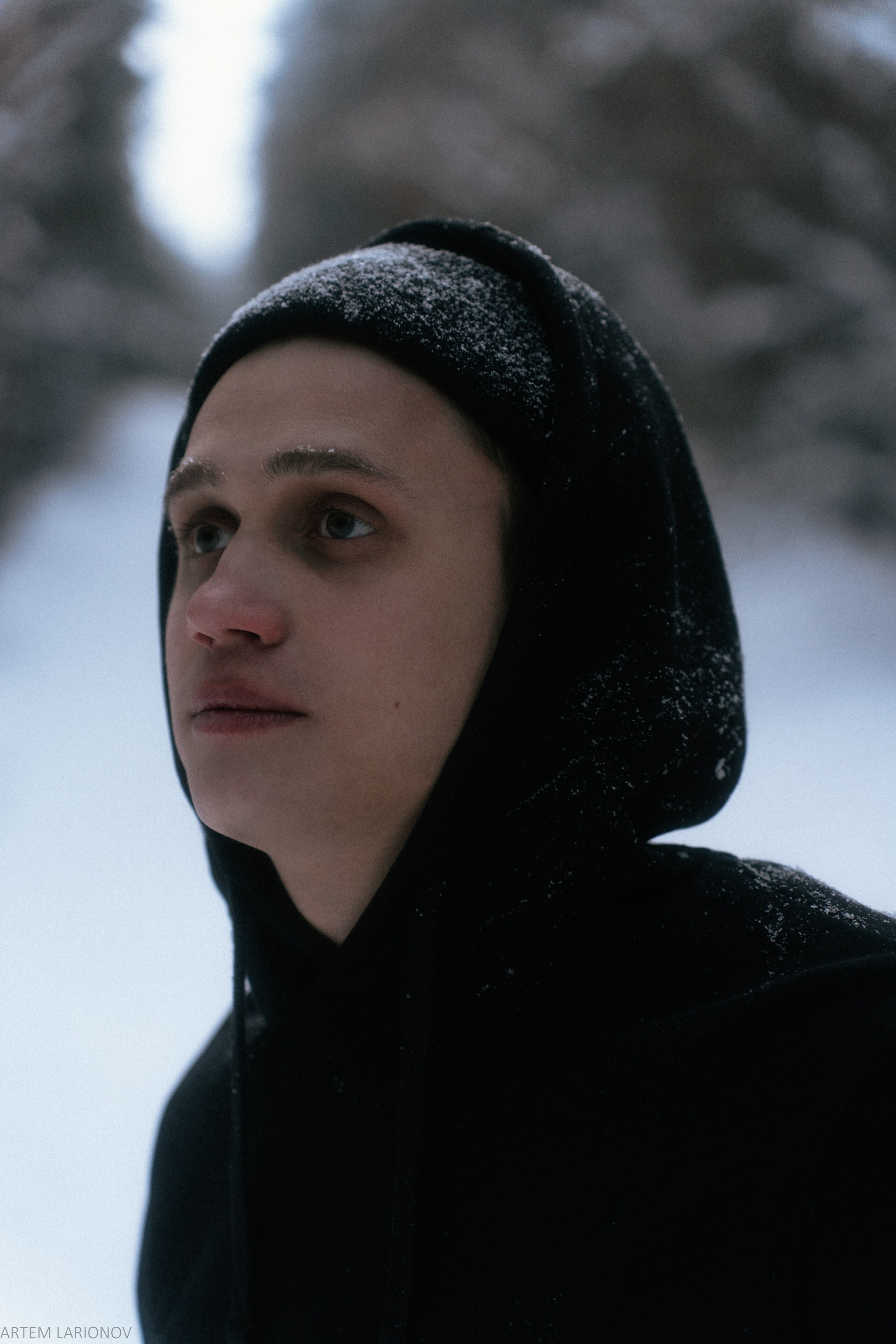 Снежный лес. Фотограф Артем Ларионов