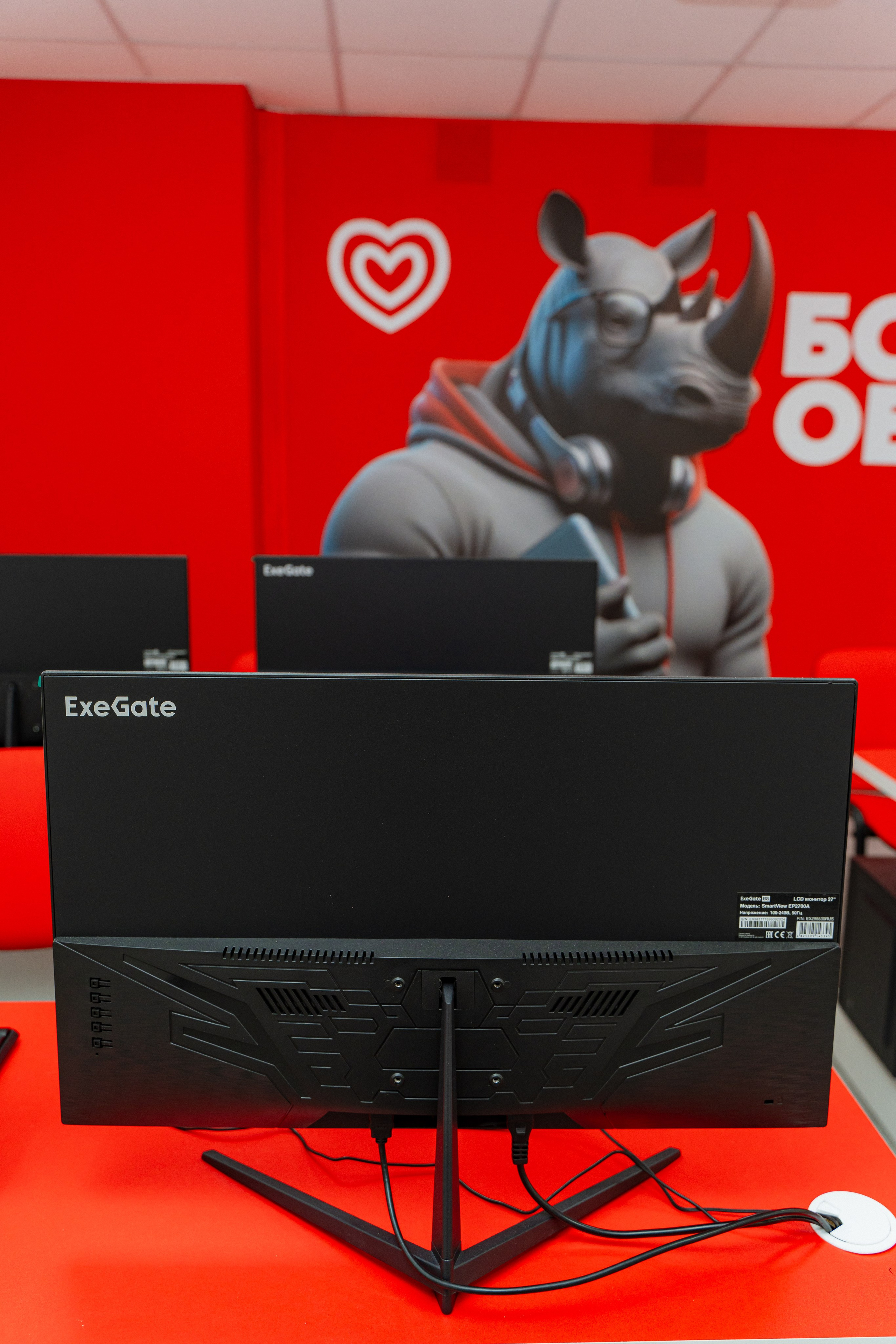 Синергия. Фотограф Мария Зайчик