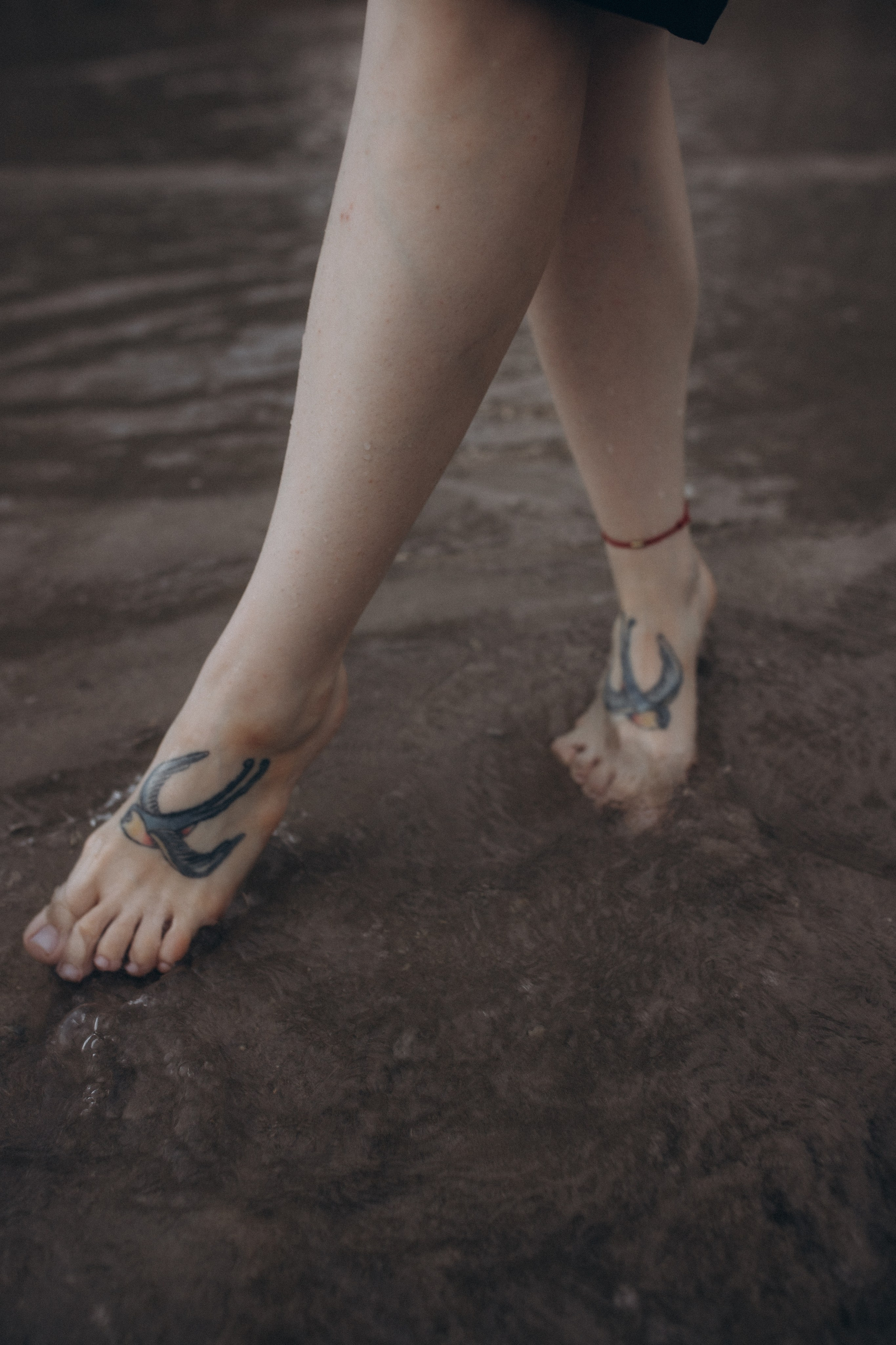 Лилия «сад камней» Вьетнам. Главная