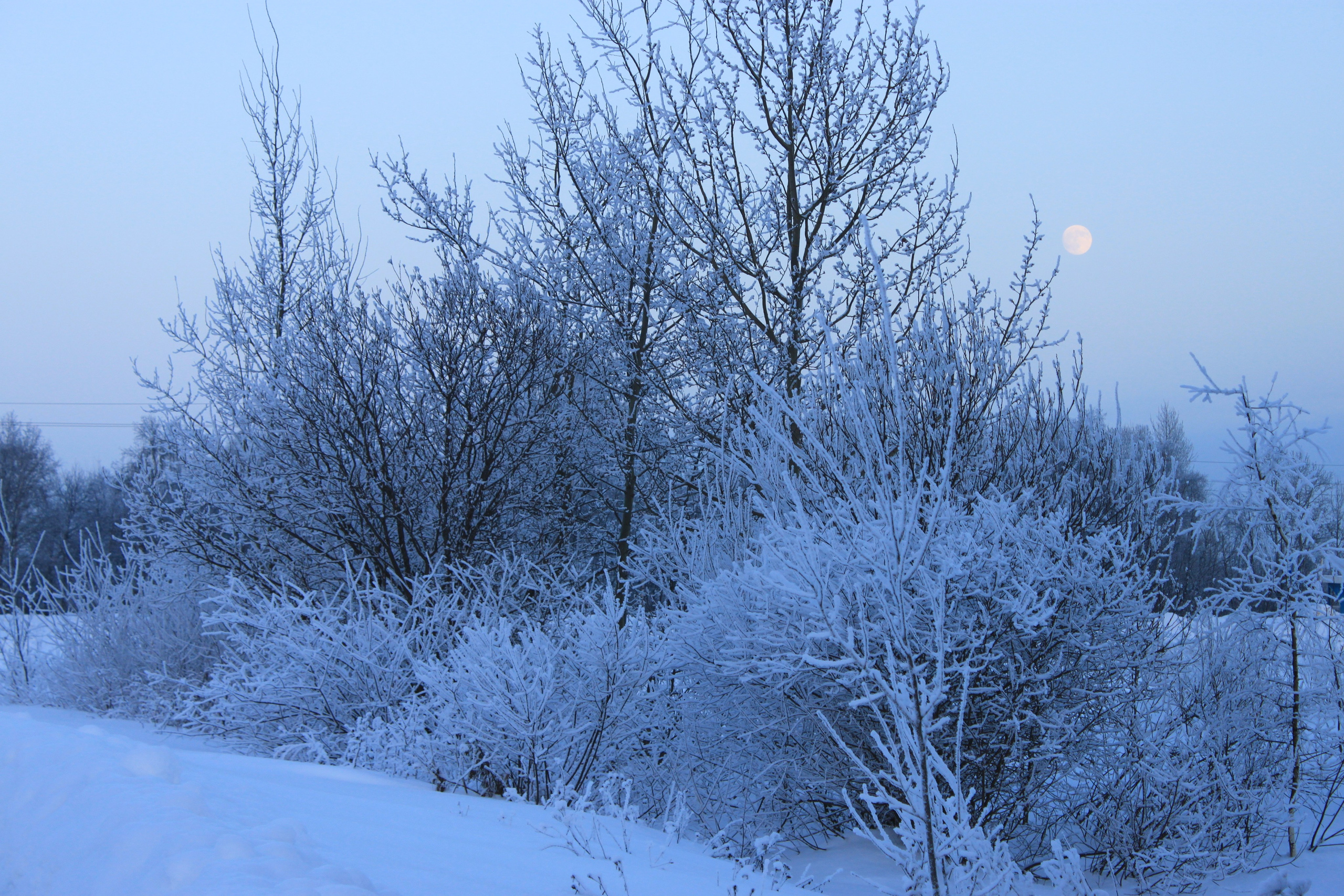 ЧУДЕСА РУССКОЙ ЗИМЫ…. СЕМЕЙНЫЙ, ПОРТРЕТНЫЙ И ДЕТСКИЙ ФОТОГРАФ в Ярославле Илья Васильев