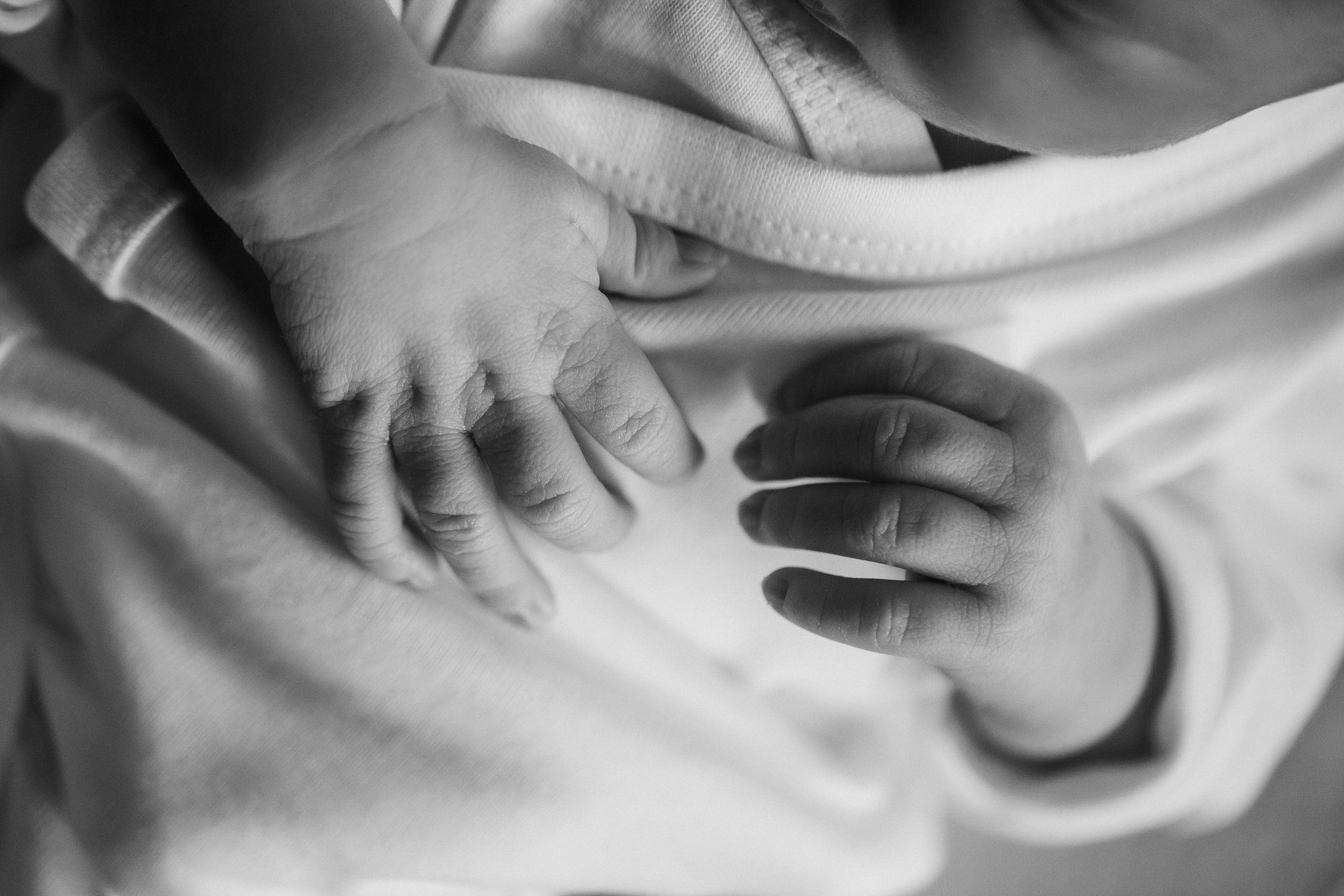 Новорожденные. Кристина Москвина. Портретный фотограф