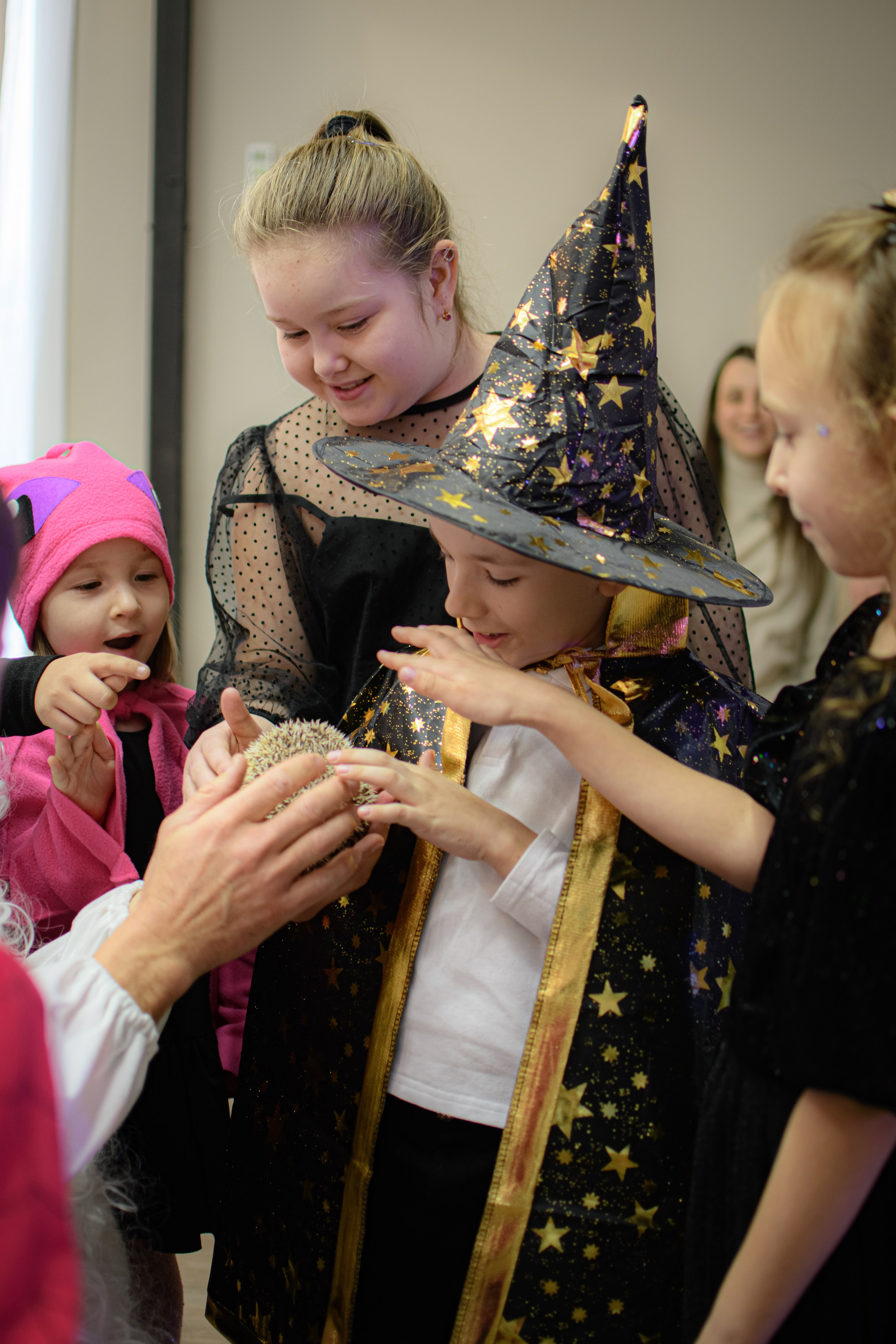 HAPPY NEW YEAR. Photokarish