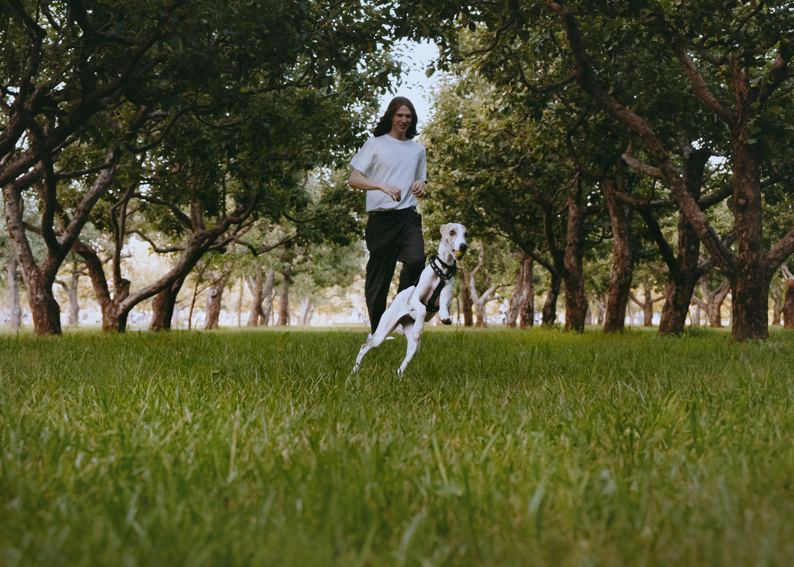 Ветка. Фотограф- анималист Александра Матвеева