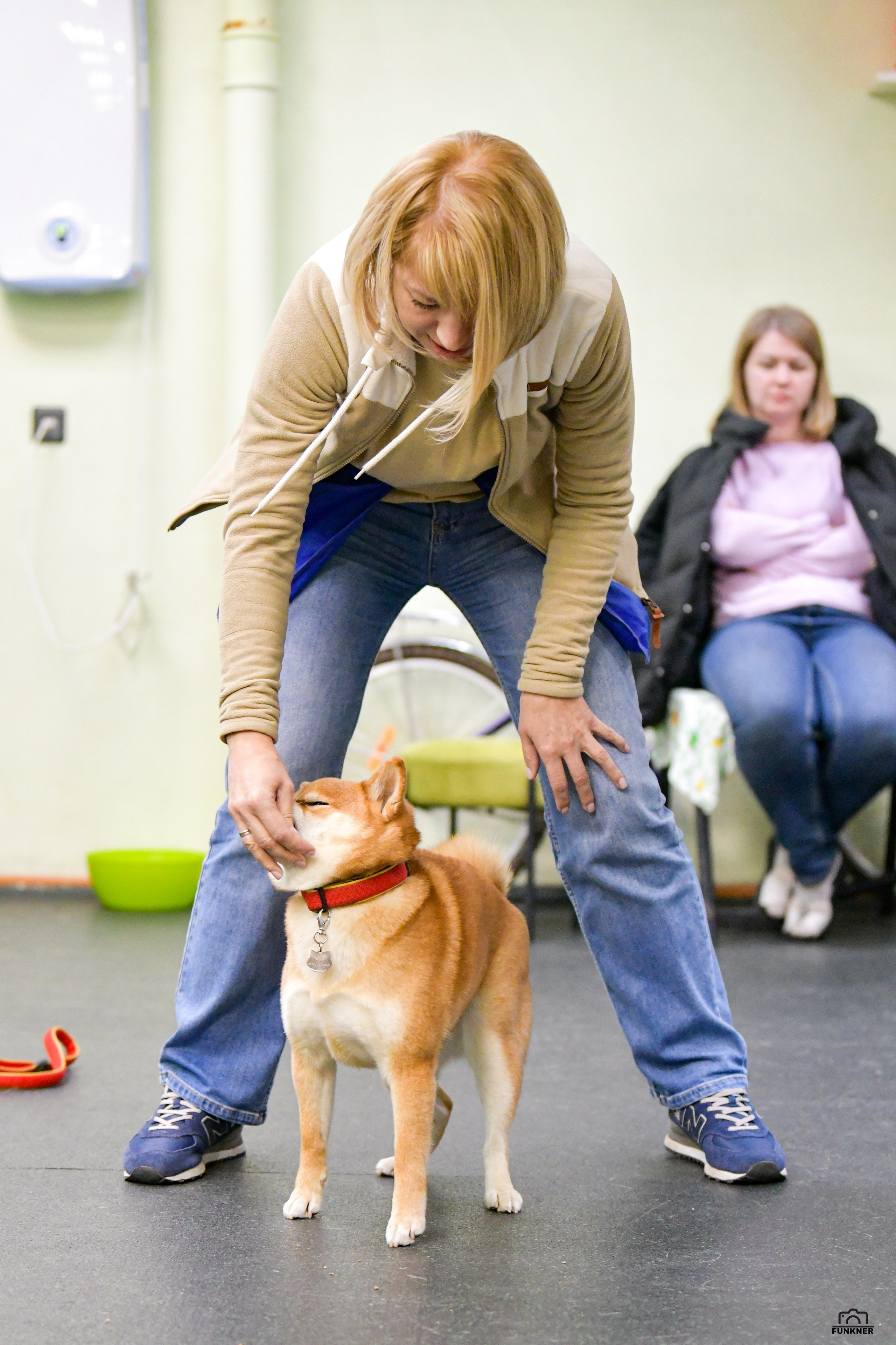 Кинологический клуб «Бодрый хвост». Свой взгляд через объектив