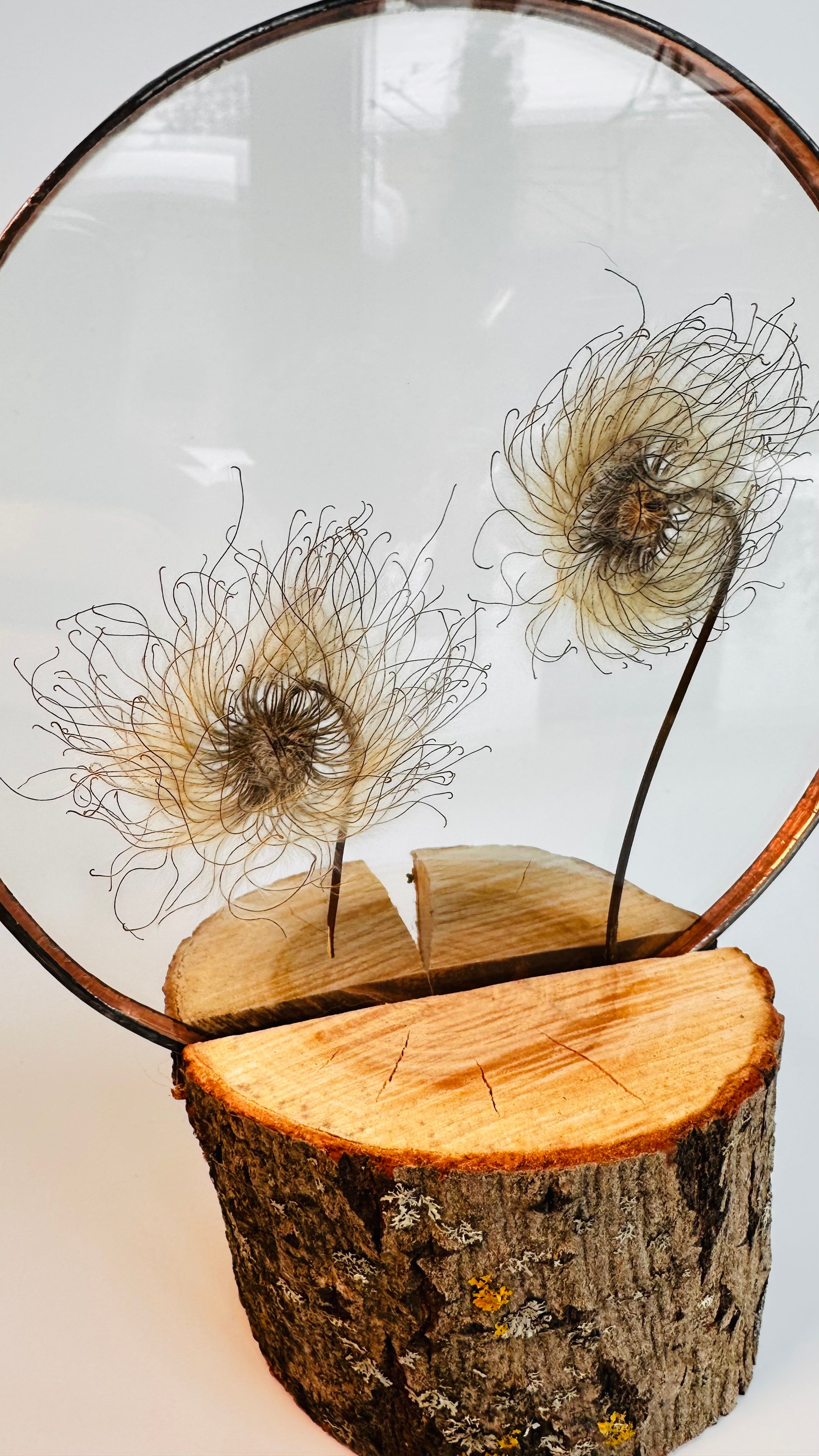 Гербарий в стекле с сухоцветами (витраж в технике тиффани). Гербарий в стекле, интерьерные панно, витражи с сухоцветами в технике тиффани