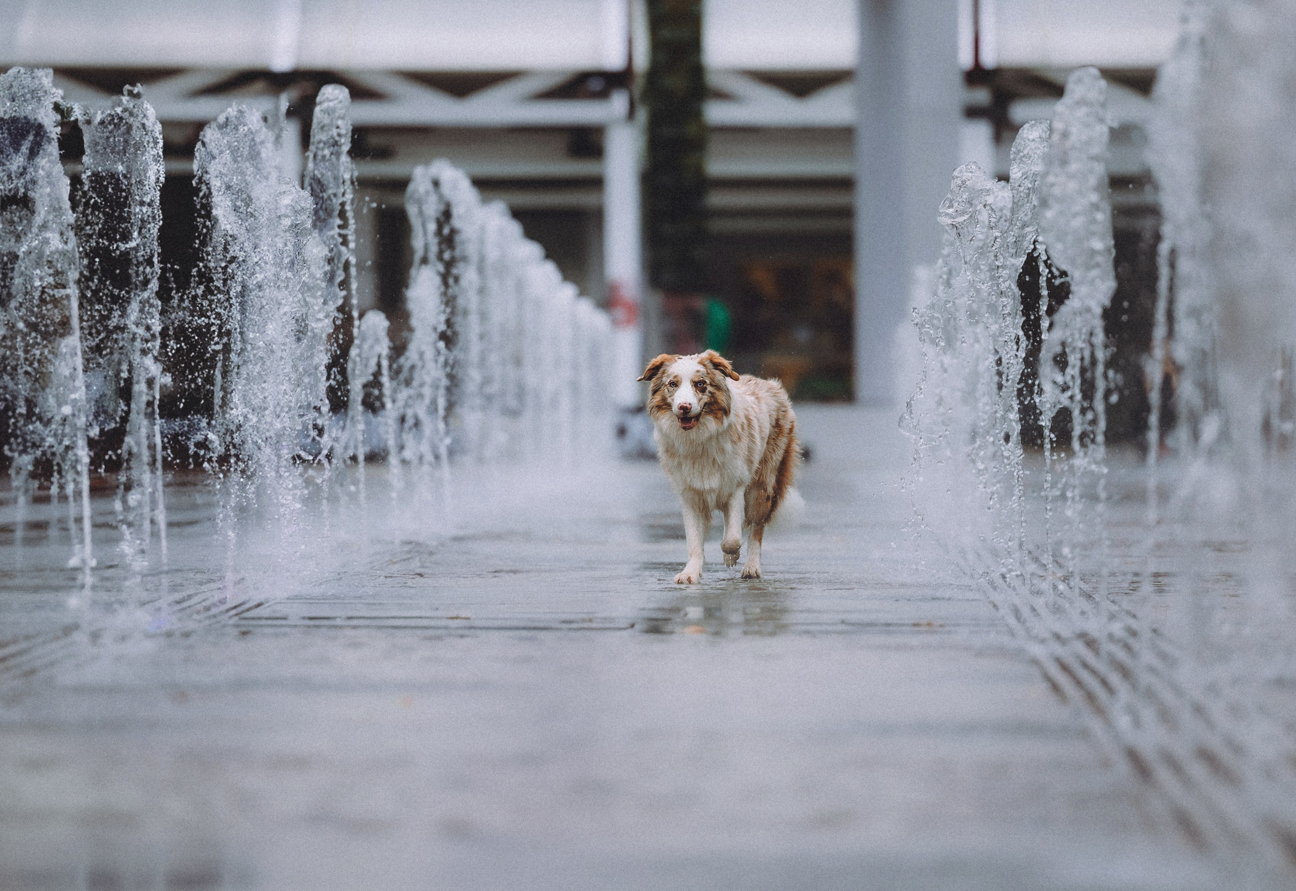Один и его семья