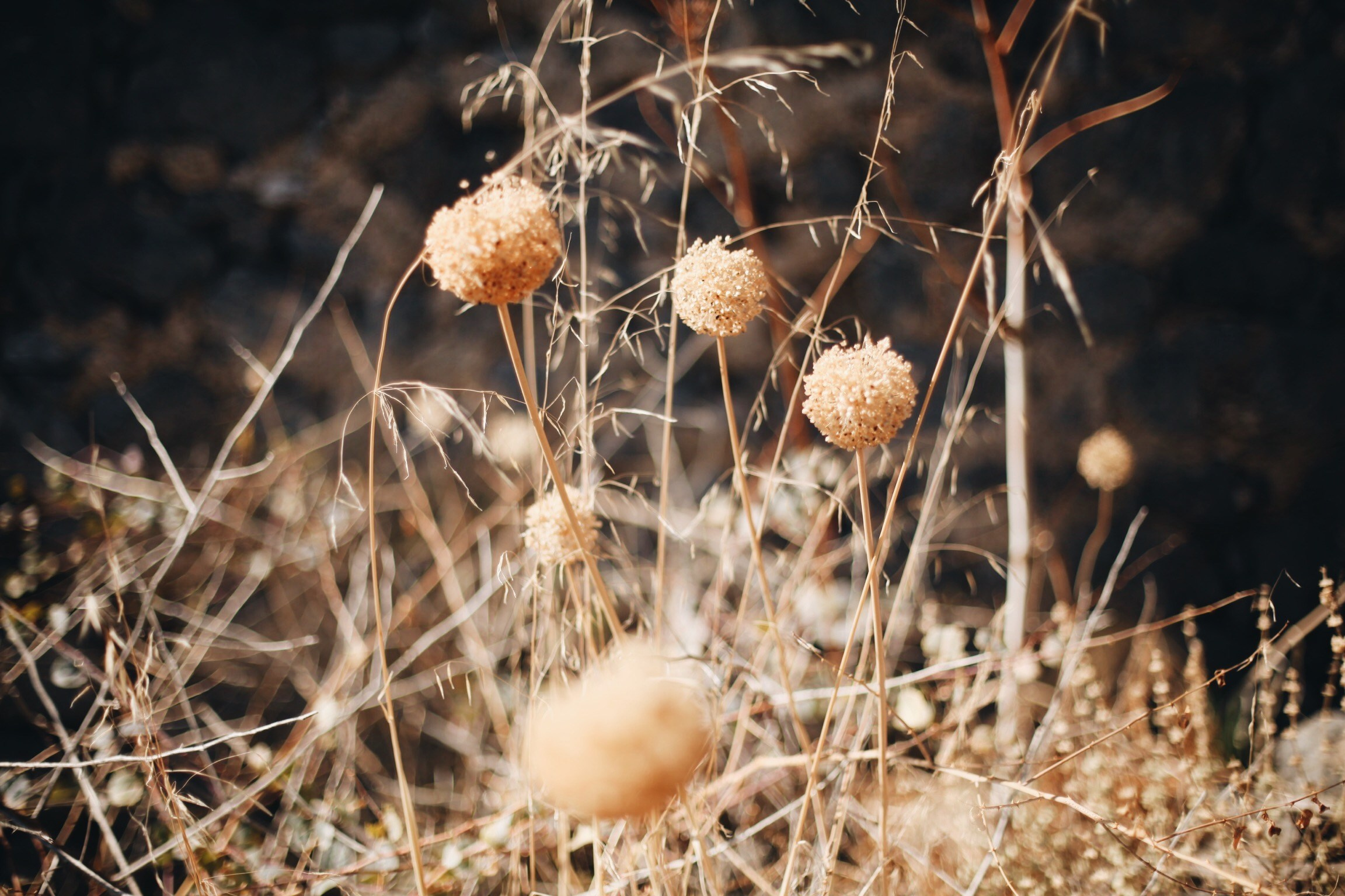 Волна. Ксения Плотникова