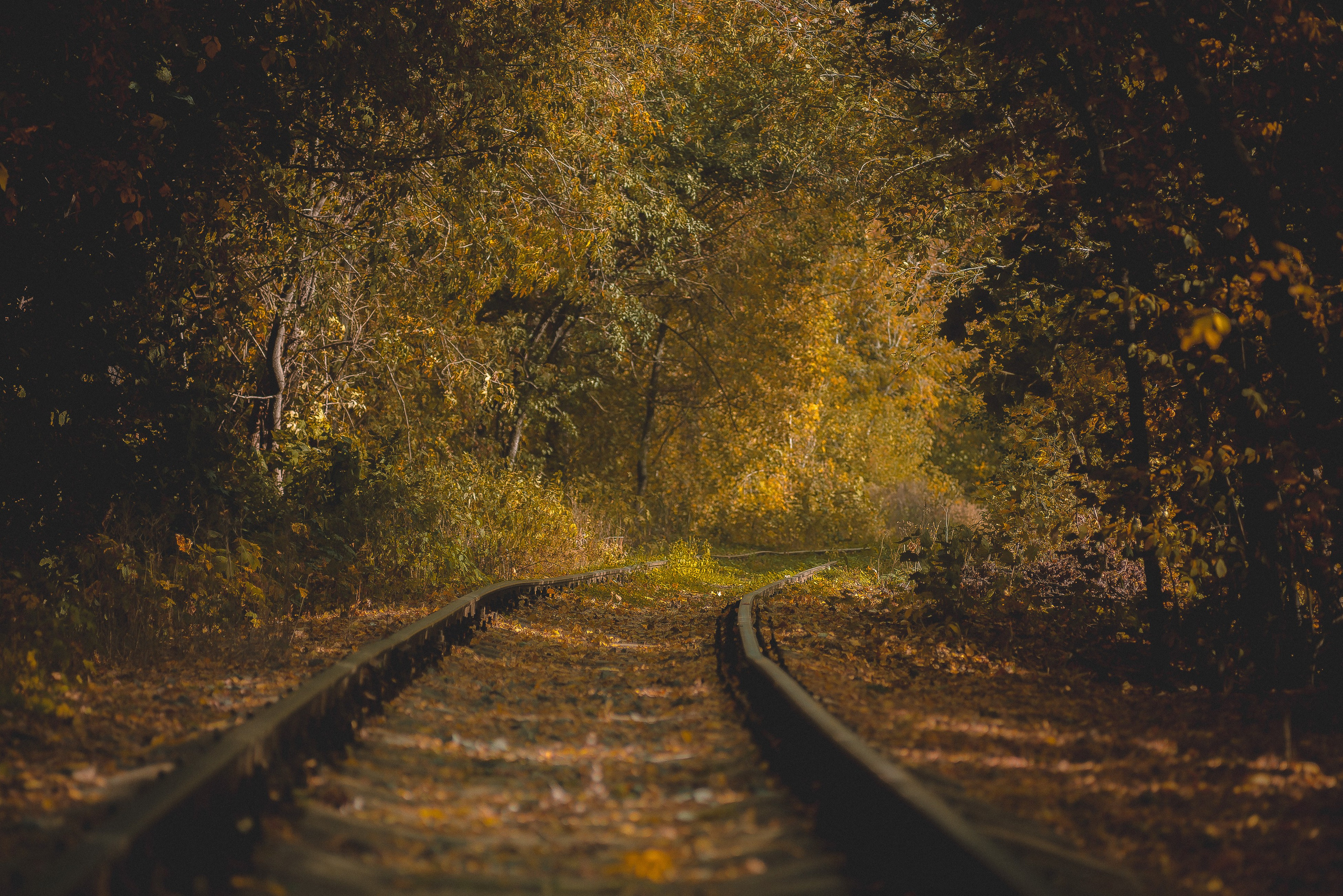 Фотосессия на природе. Фотограф в Казани Воронцов Илья
