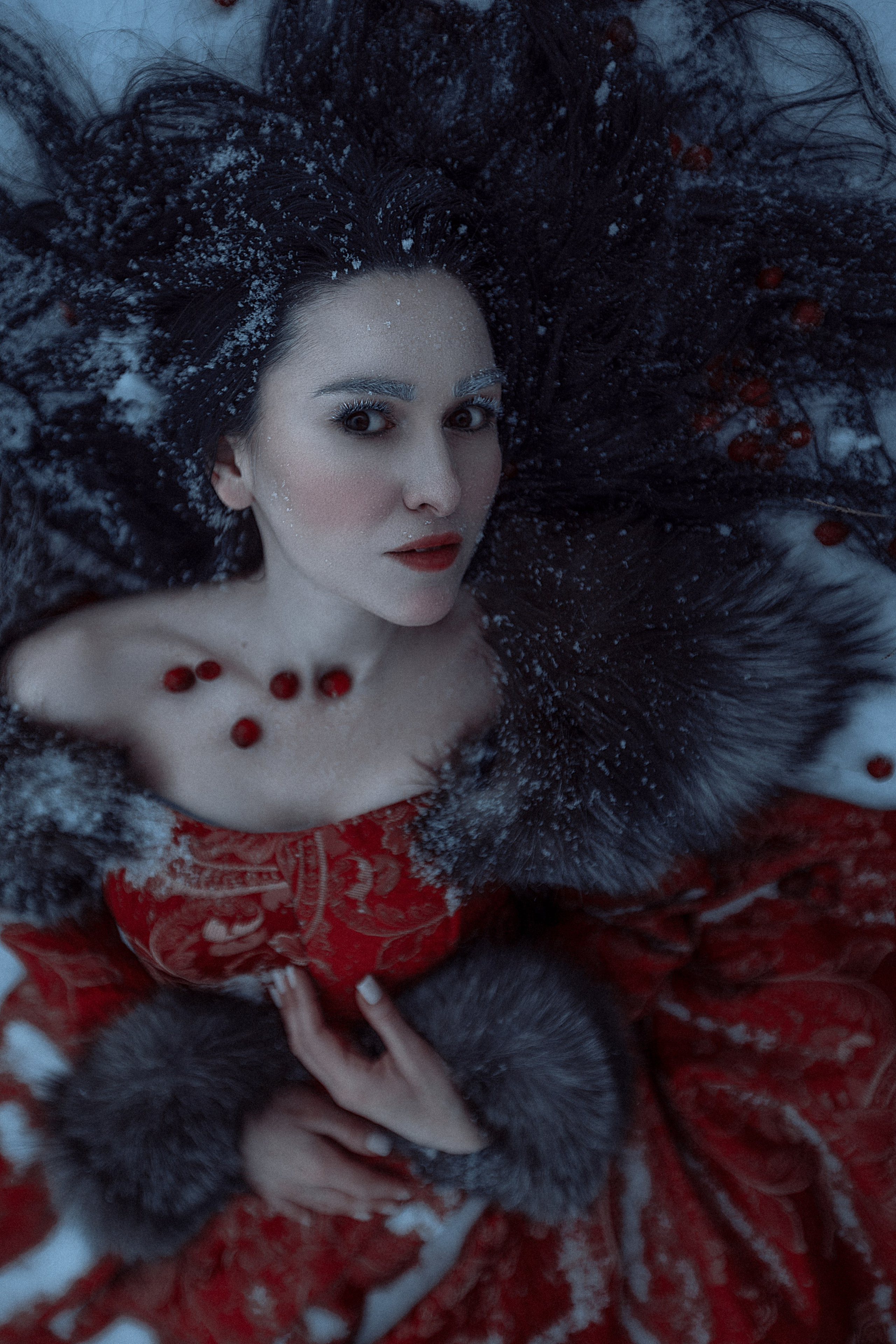 Клюква. Фотограф Алёна Яковлева