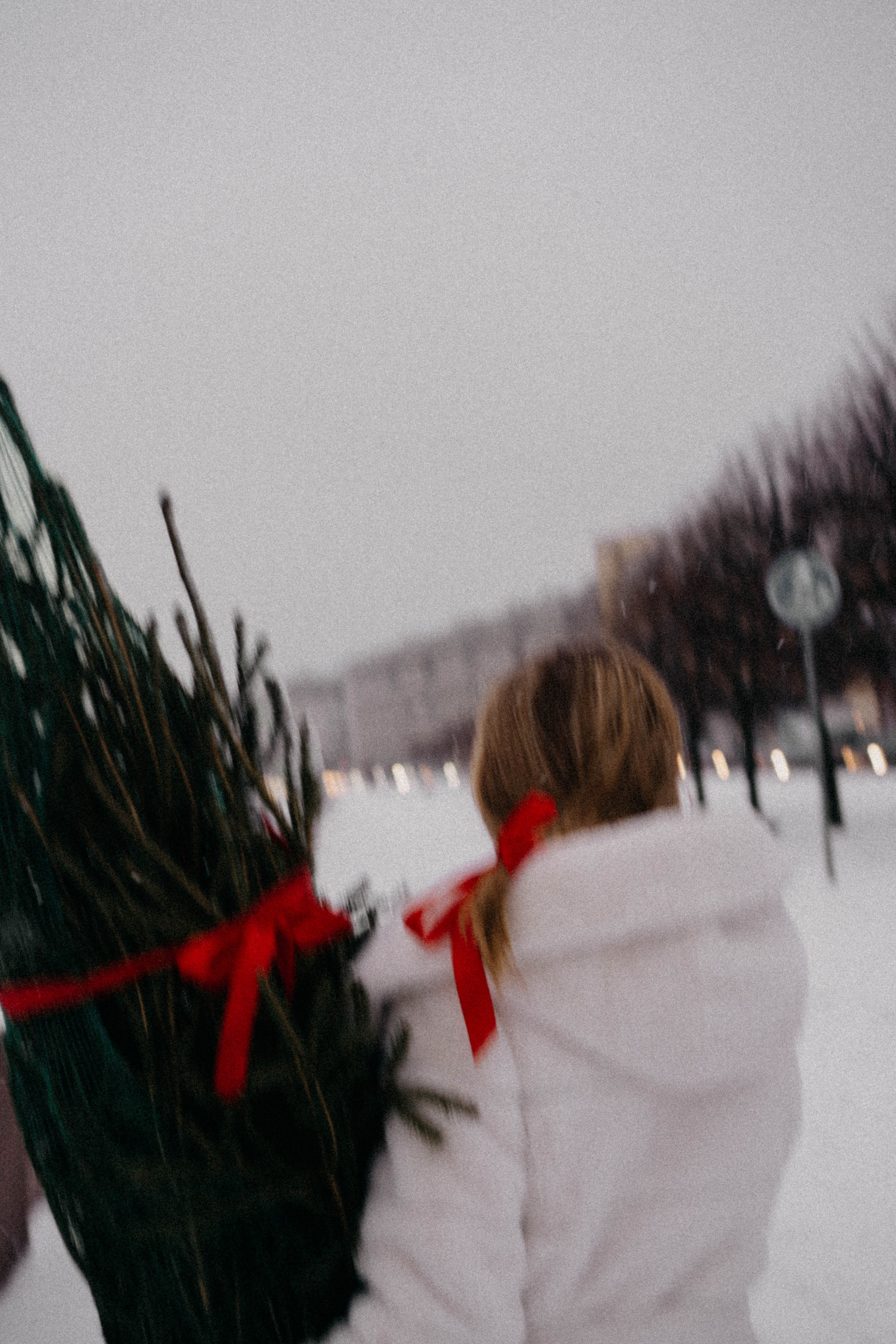 Новогодняя. Профессиональный фотограф, Санкт-Петербург — Виктория Богомолова