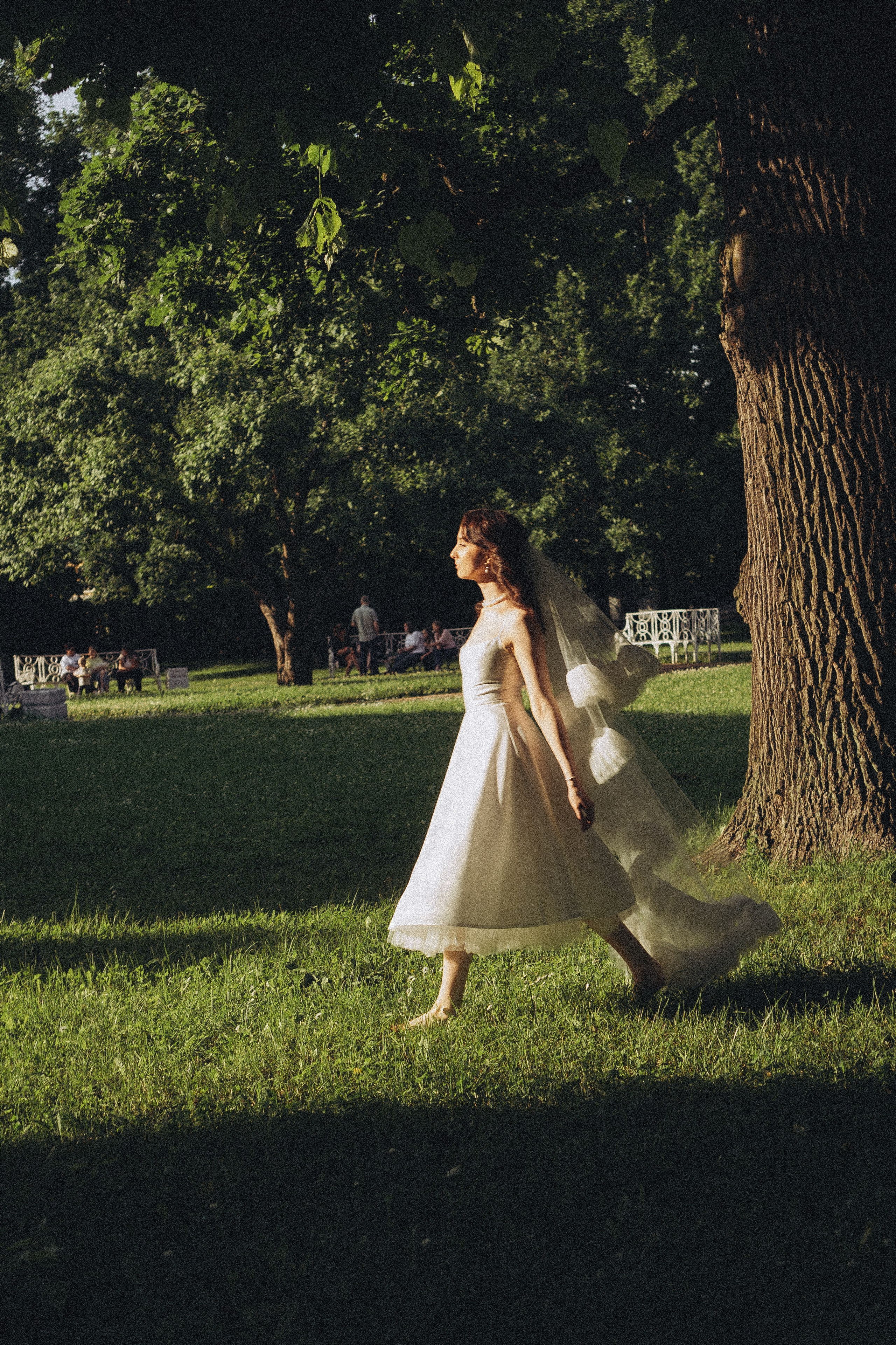 СВАДЕБНАЯ ФОТОСЕСИСИЯ В ГОРОДЕ ПУШКИН. Профессиональный фотограф, Санкт-Петербург — Виктория Богомолова