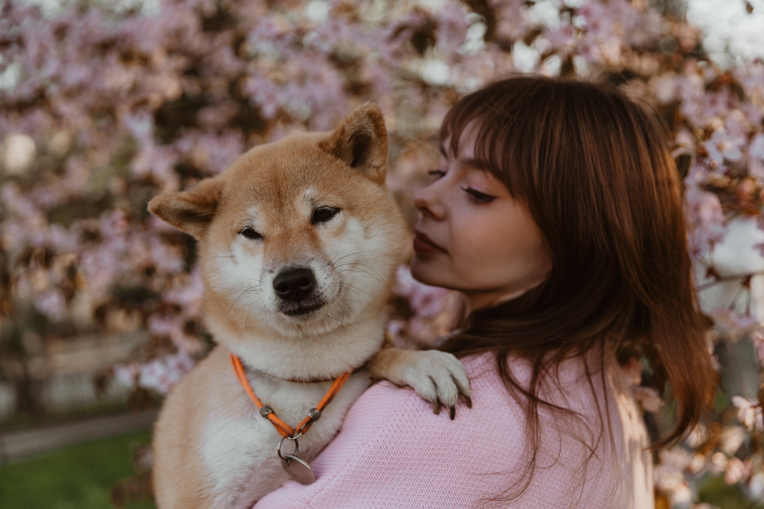 Анастасия и Тайра. Фотограф Южно-Сахалинск Сахалин Анастасия Тучина