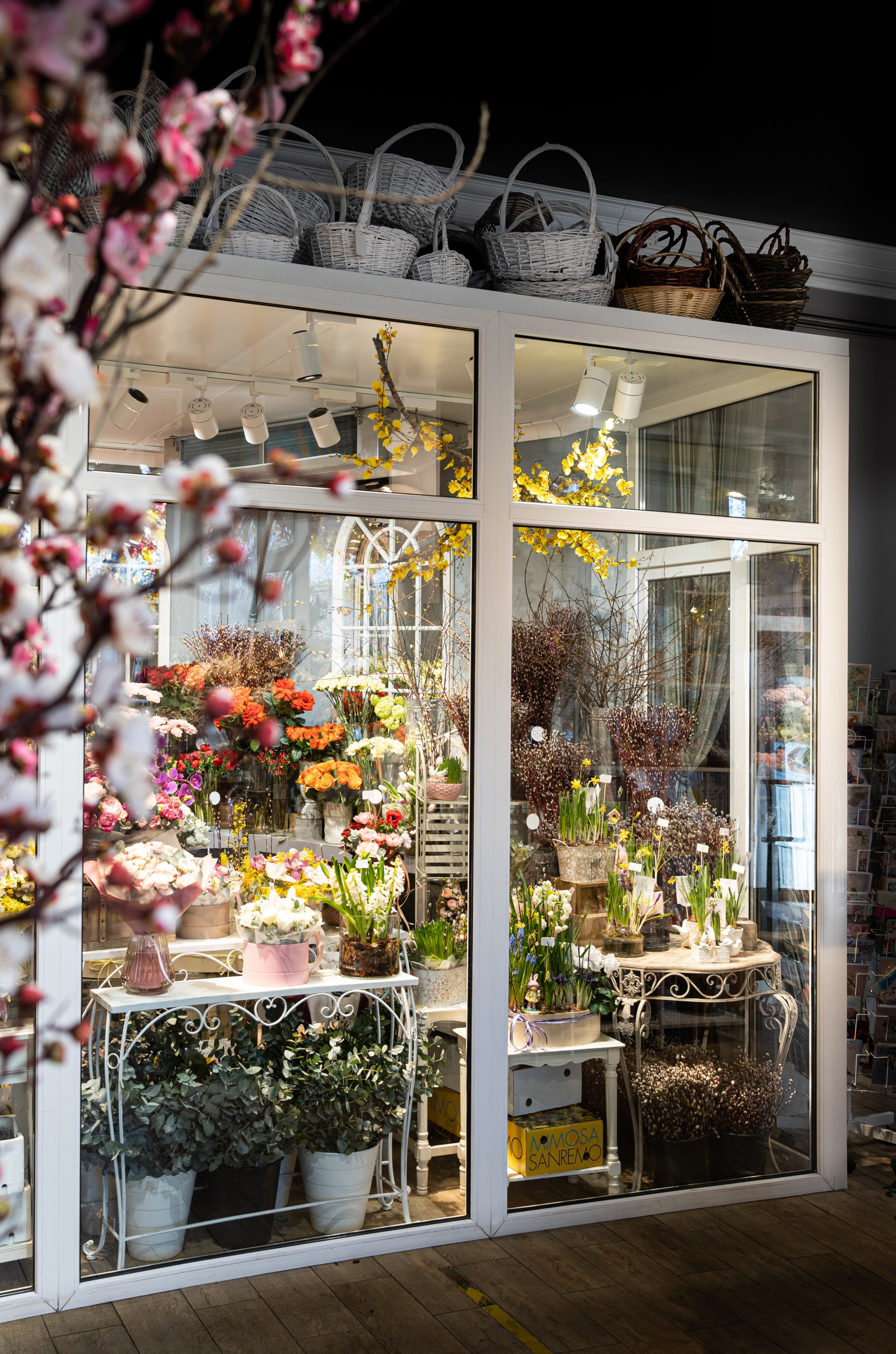 Регион холод. Елена Пашкевич, фотограф, Москва