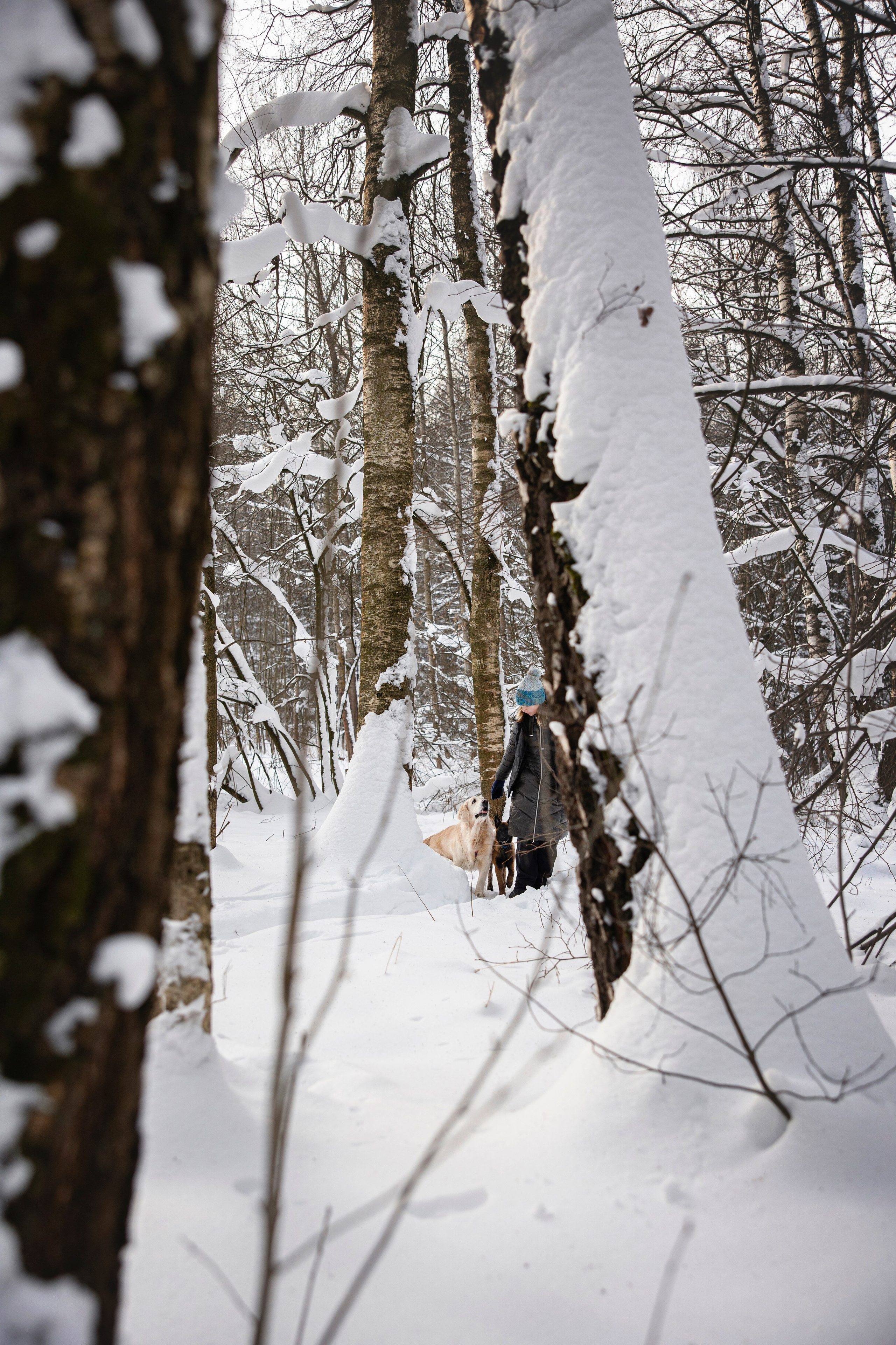 Бэлла и Панда. Анастасия Белаш