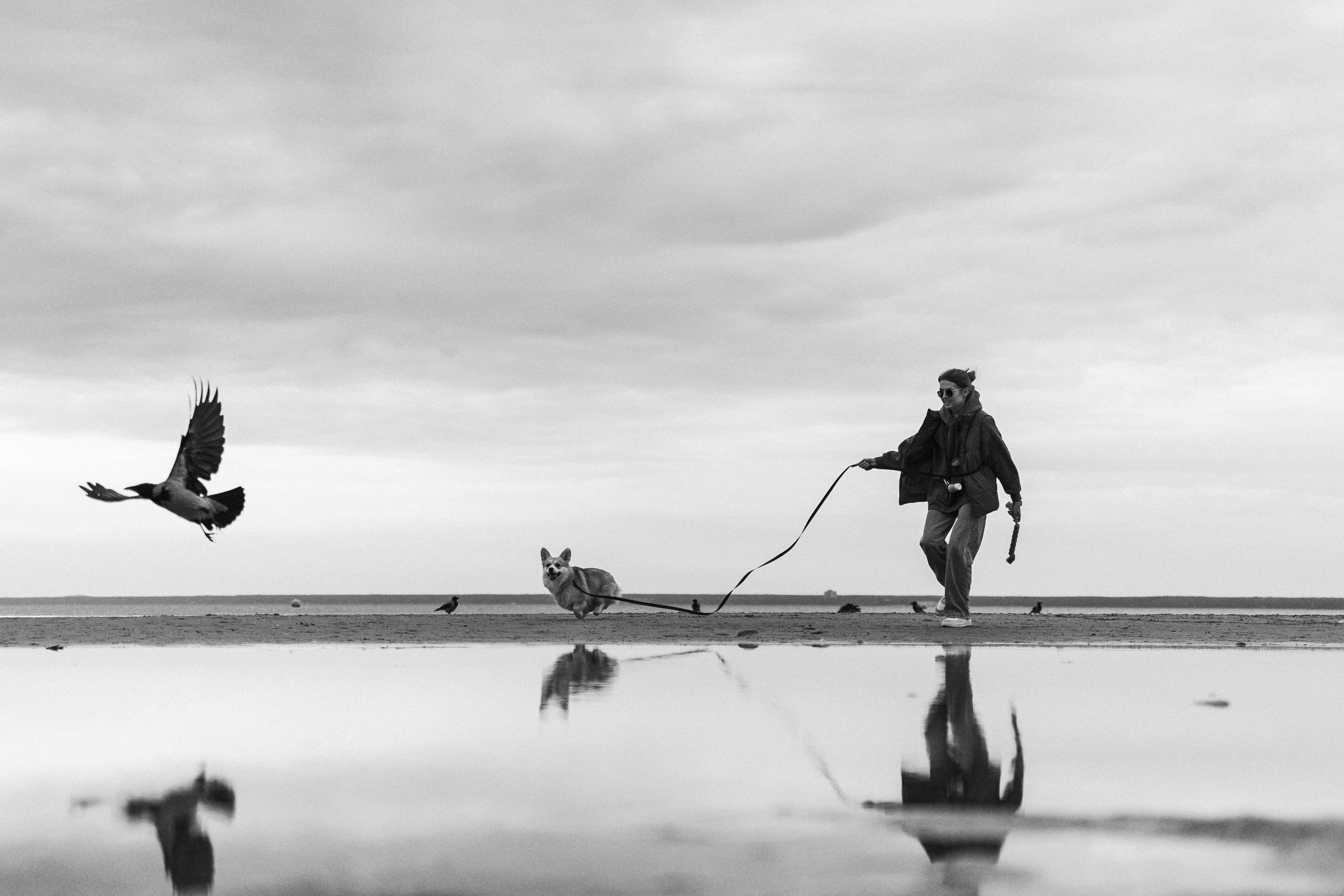 Лиза и Бакс. Фотограф — Анималист | Санкт-Петербург