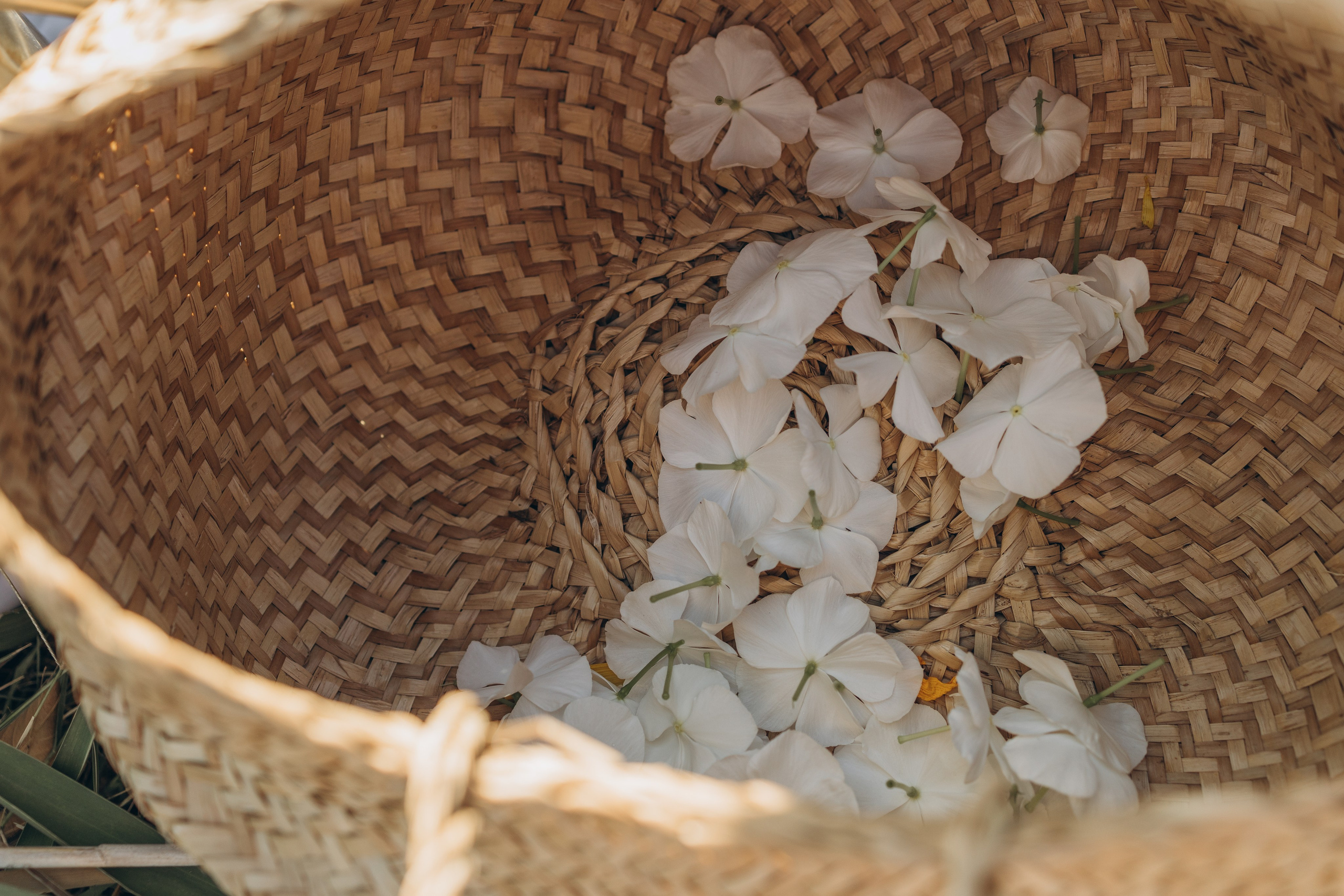 Алина и Алиса. Семейный фотограф в Москве Виктория Ястребинская