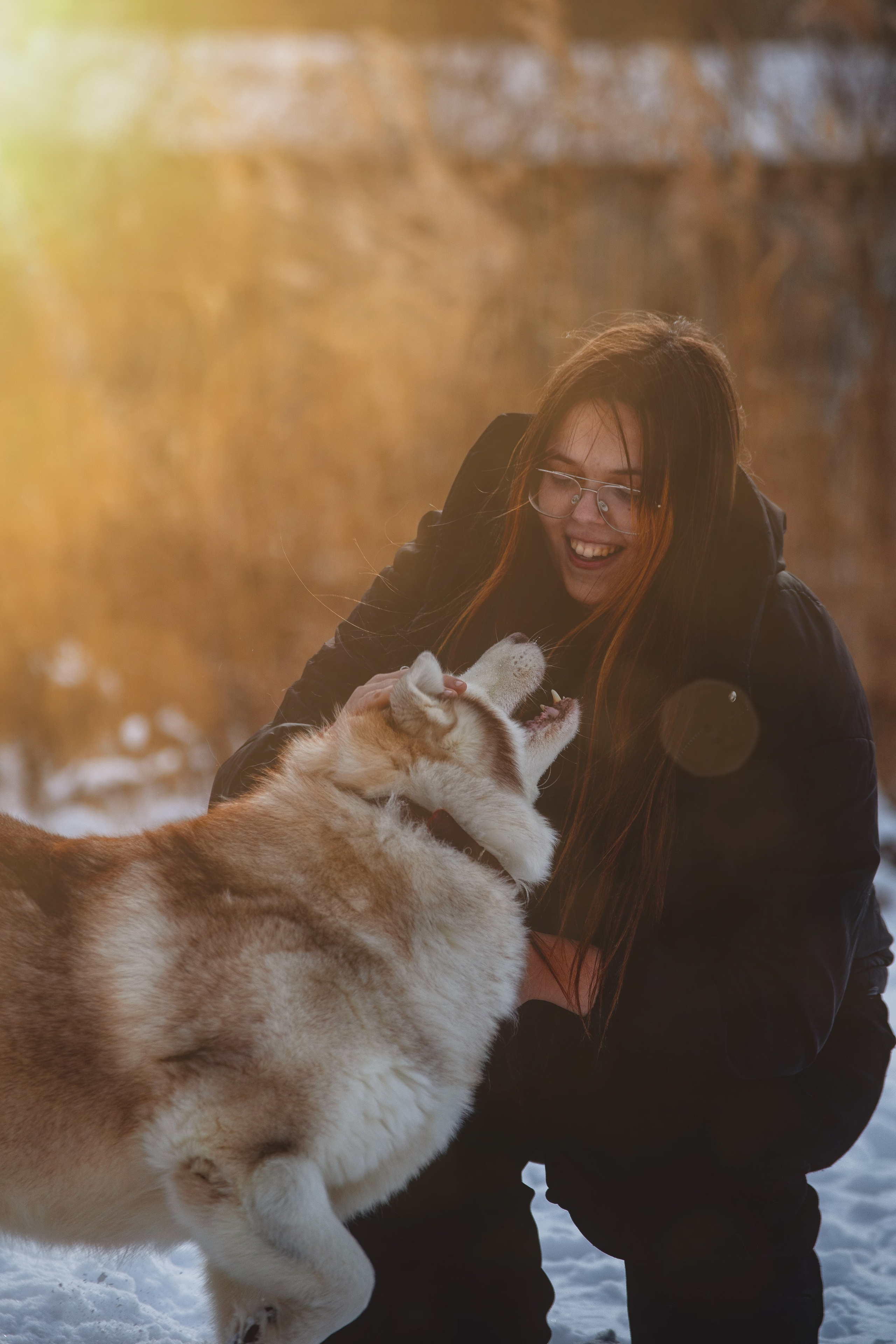 Люди и питомцы. Slavilada-Лапки. Свет. Любовь… Профессиональная фотосессия питомцев Для памяти, пристройства и продажи. Хабаровск