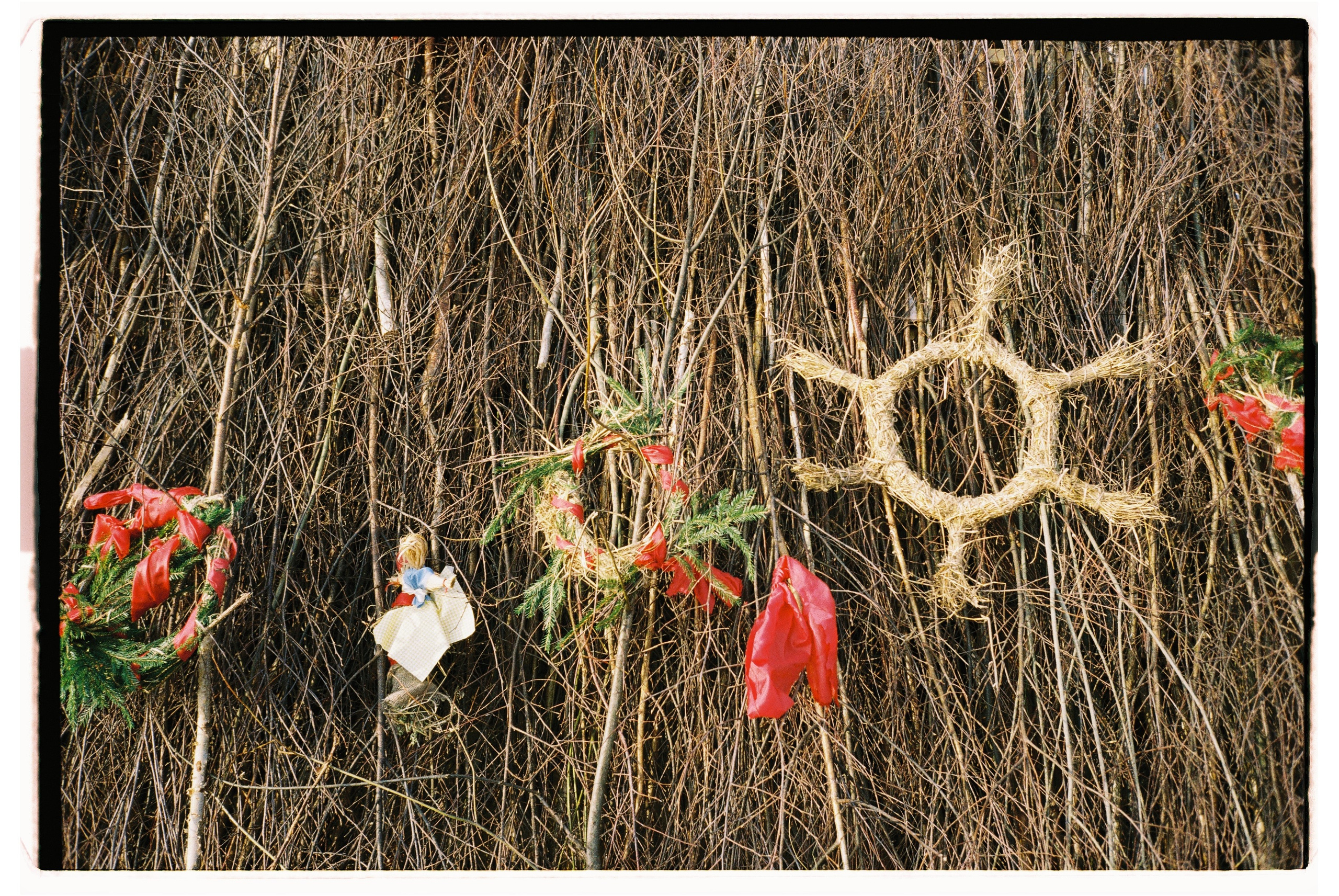 Maslenitsa, Nikola — Lenivets. @tomrus: Рустам Шагиморданов — фотограф