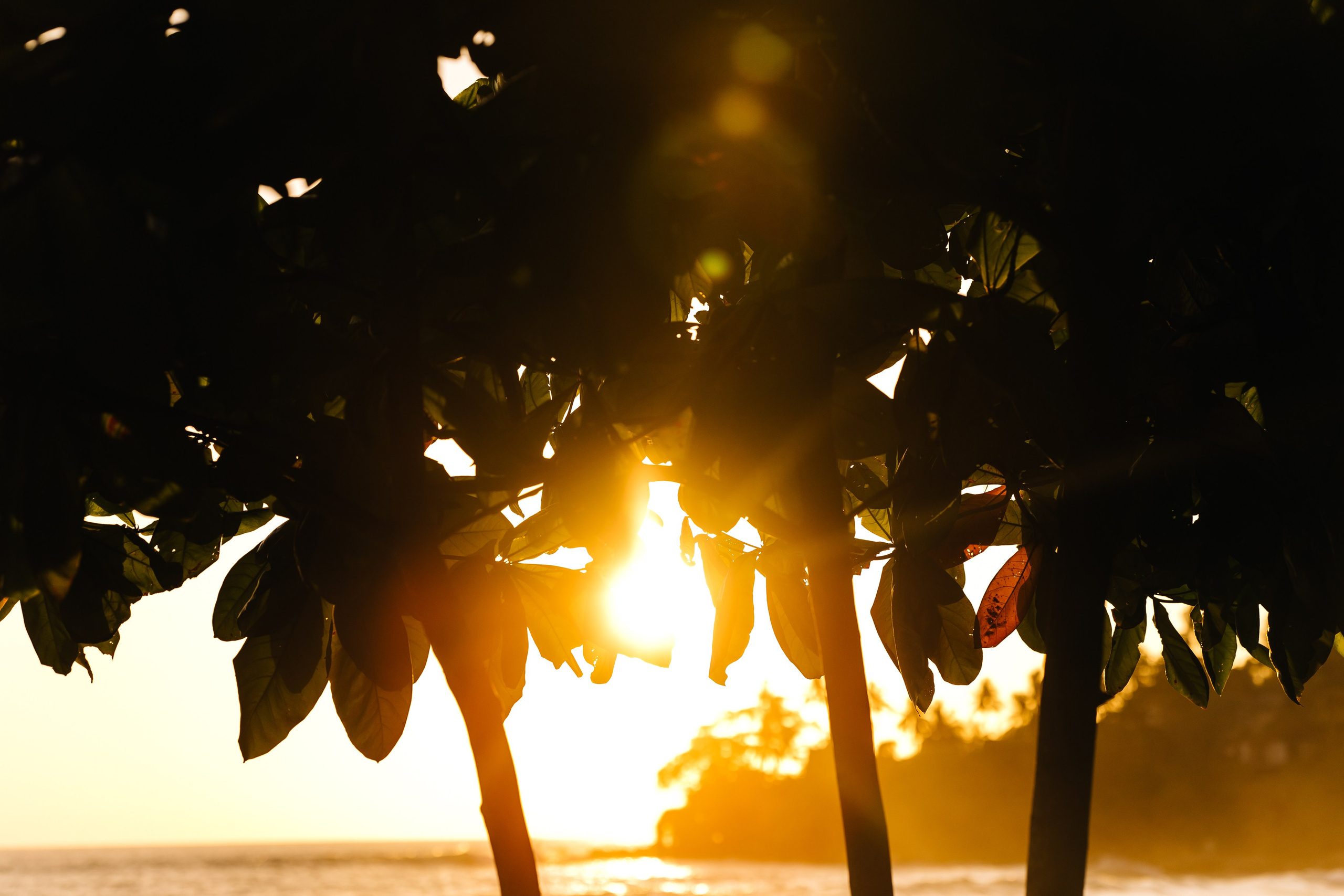 Хуахин, Таиланд. Анна Атаян Фотограф