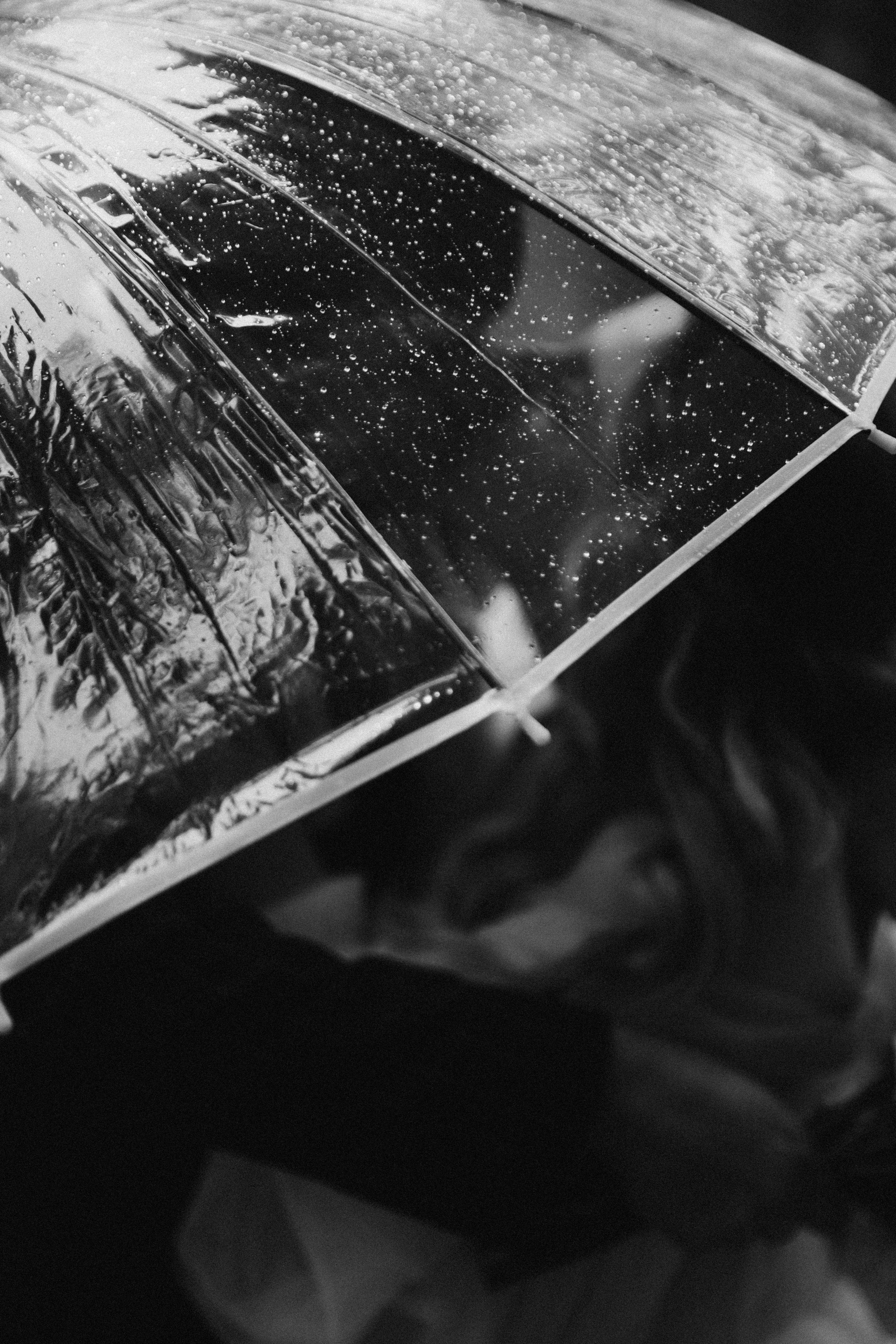 Даня и Саша | Pine River. Свадебный фотограф Ангелина Зотова | Обнинск, Москва, Калуга