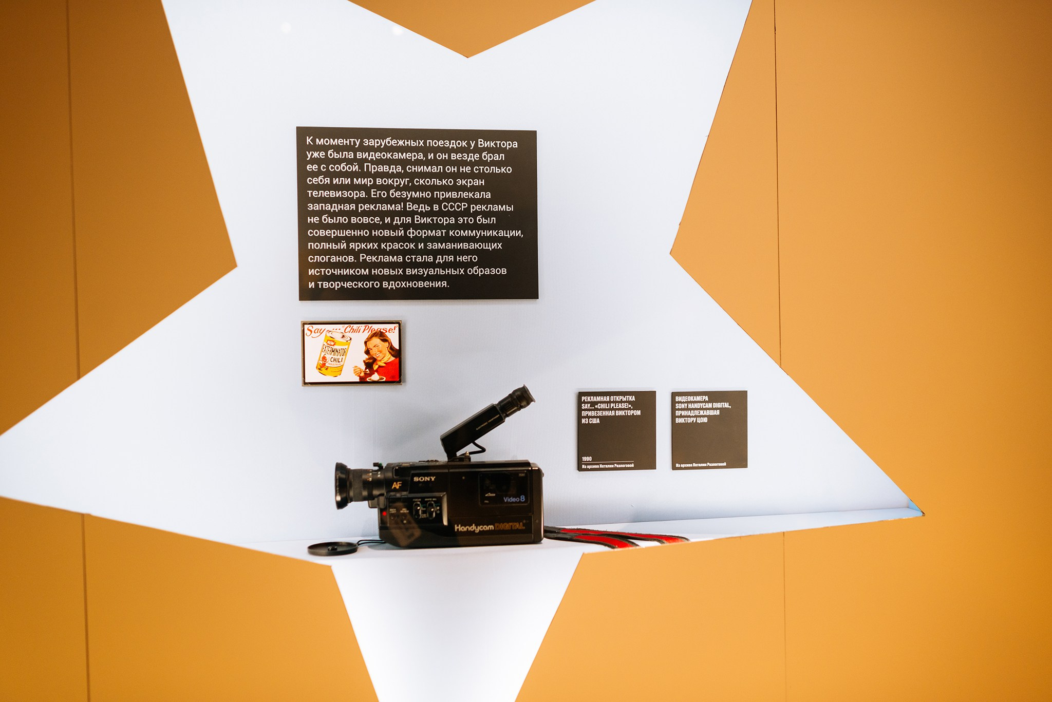 Выставка Виктор Цой. Легенда. Ноябрь 24. Репортажный фотограф в Санкт-Петербурге Анастасия Клёпова