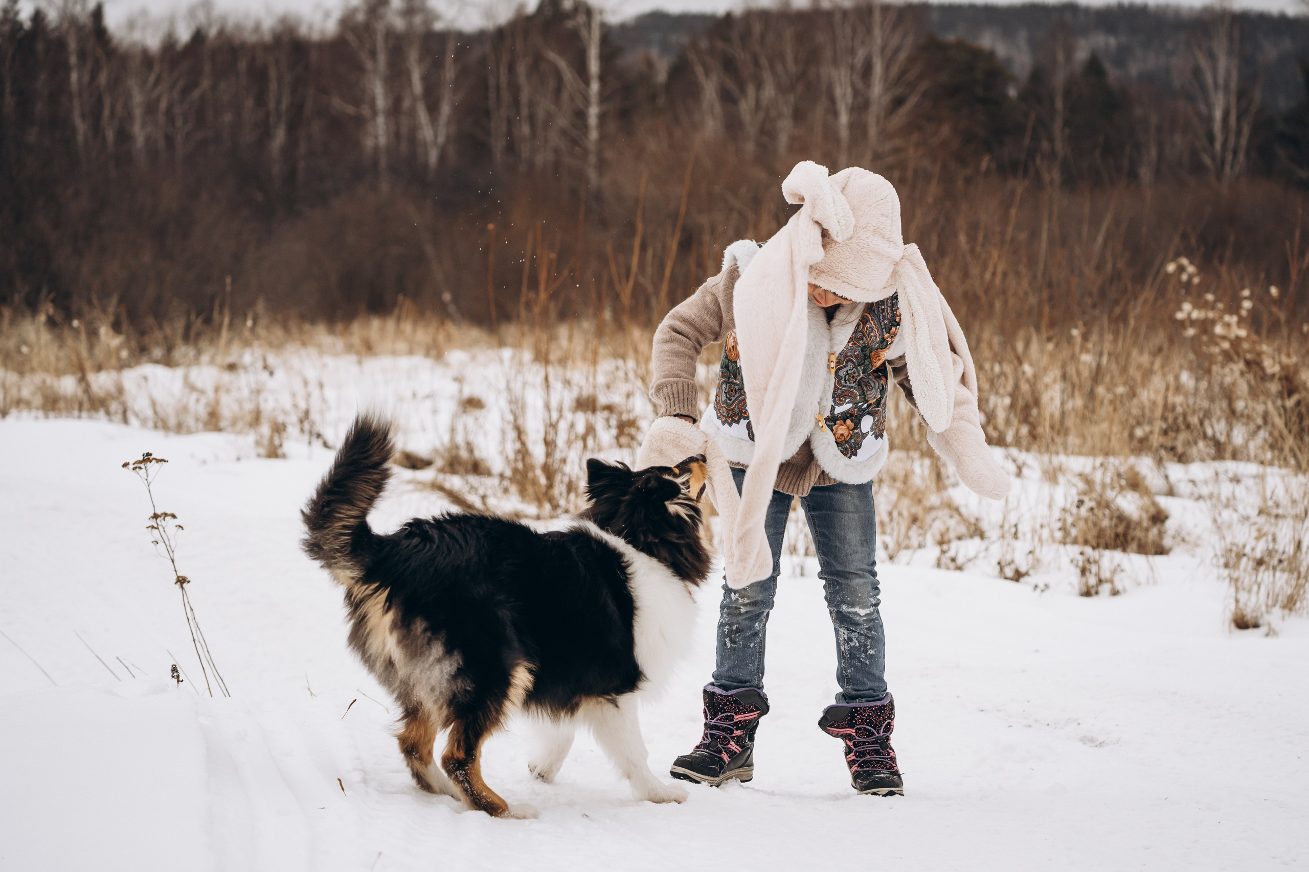 Альма. Фотограф-анималист Анастасия Большакова