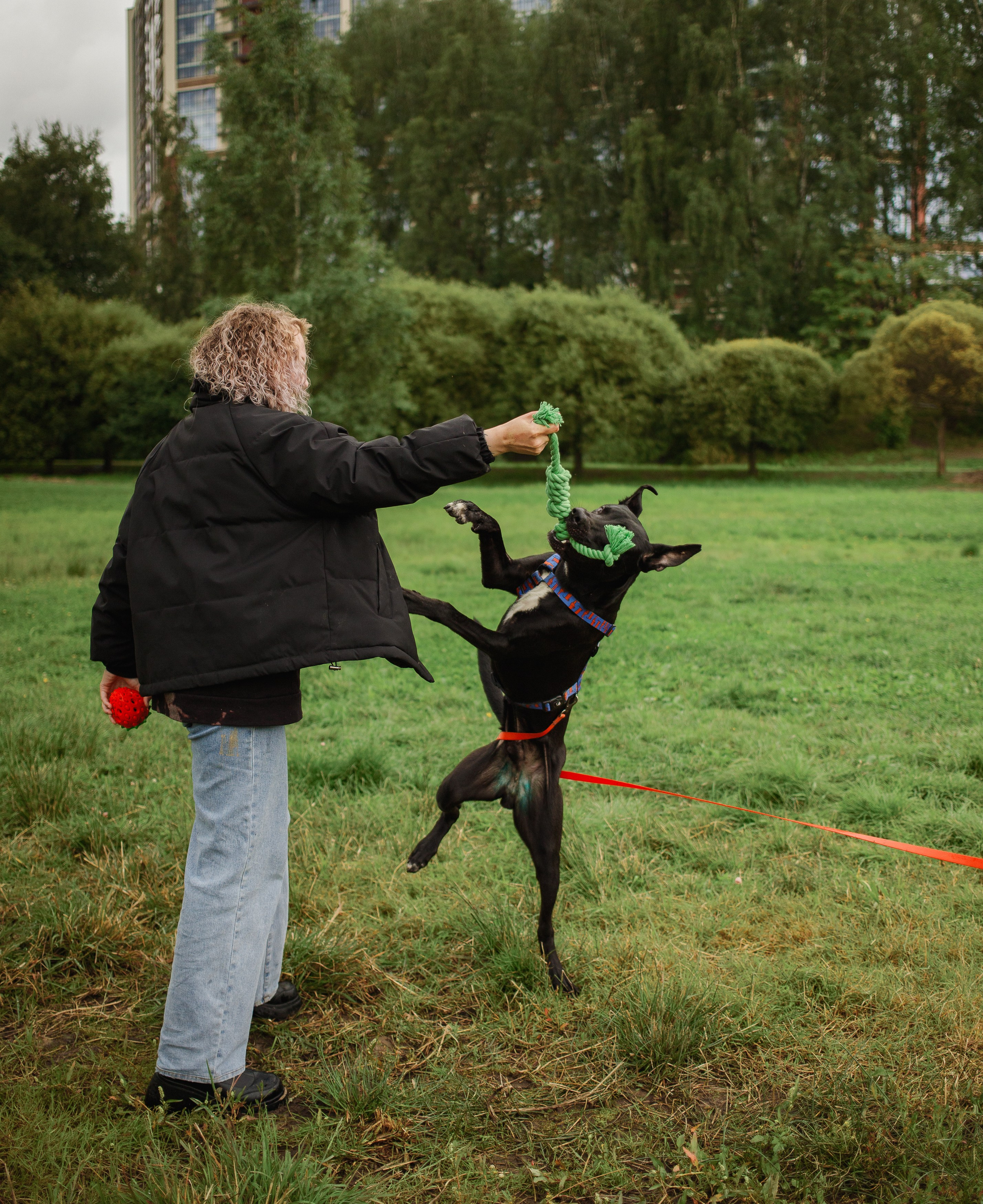 Отис ищет дом. Портретный фотограф в Санкт-Петербурге Катя Протасевич