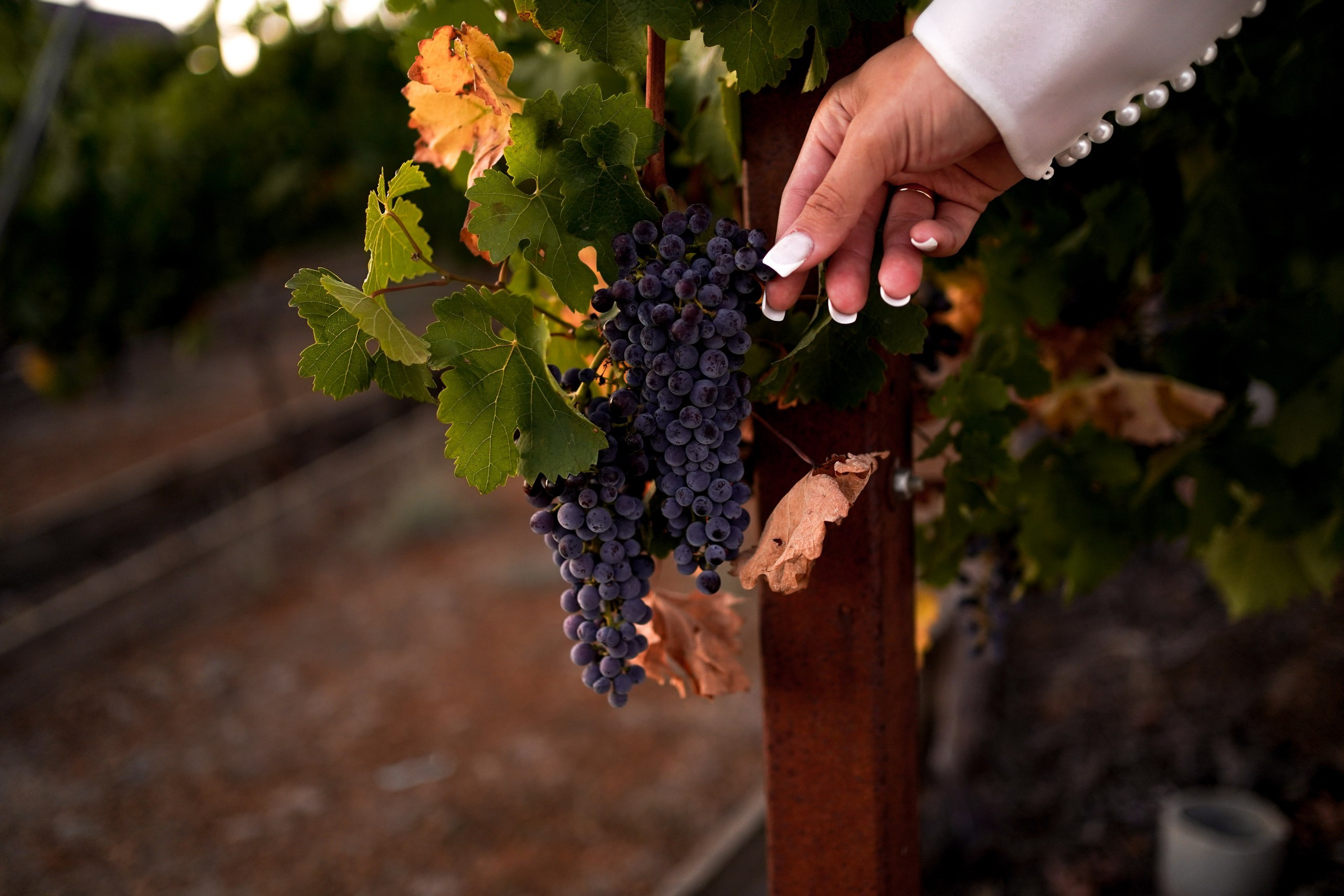 Усадьба Пестряковых. Свадебный фотограф в Ростове-на-Дону. Таинство Крещения и Венчания, семейные фотосессии. Алёна Чёботова