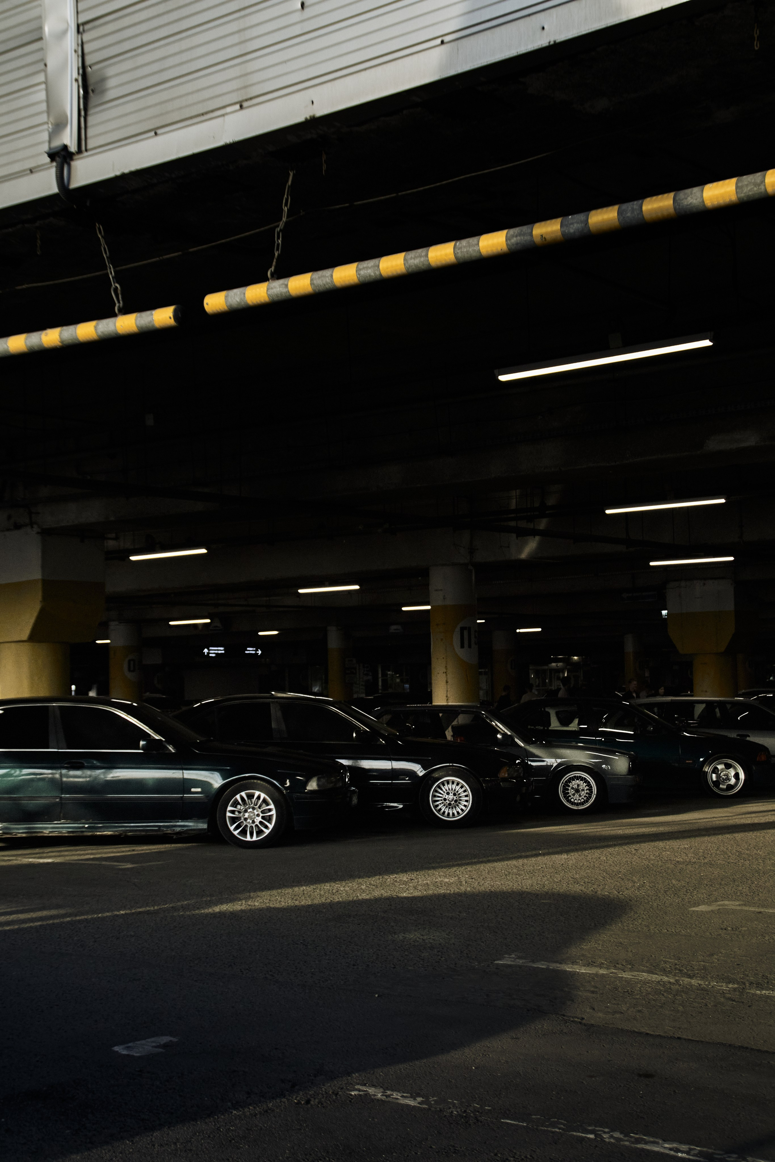 DNB 24. Фотограф Александр Рауш