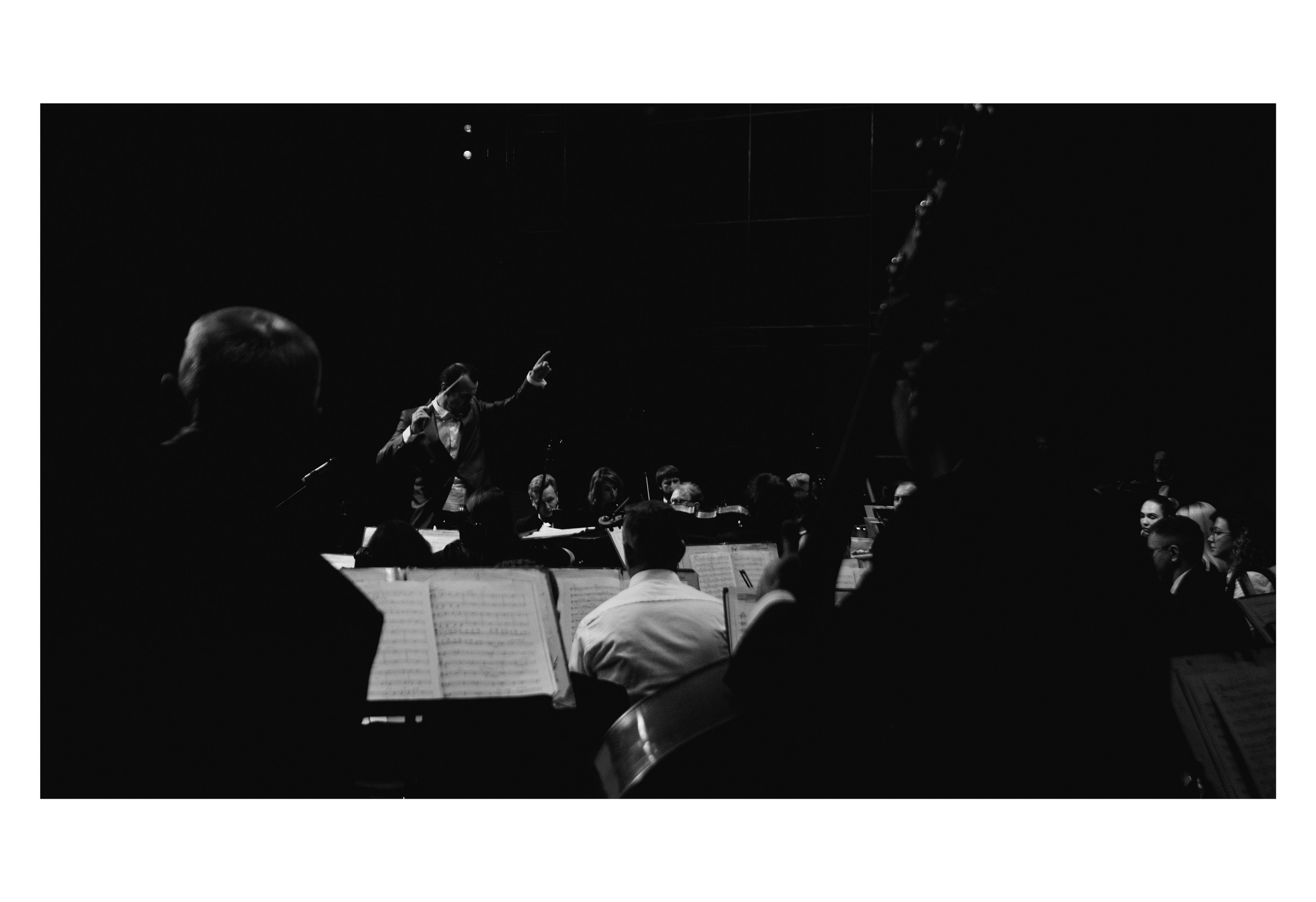 Симфонический оркестр. Творческий и репортажный фотограф в Москве Клим Долгов