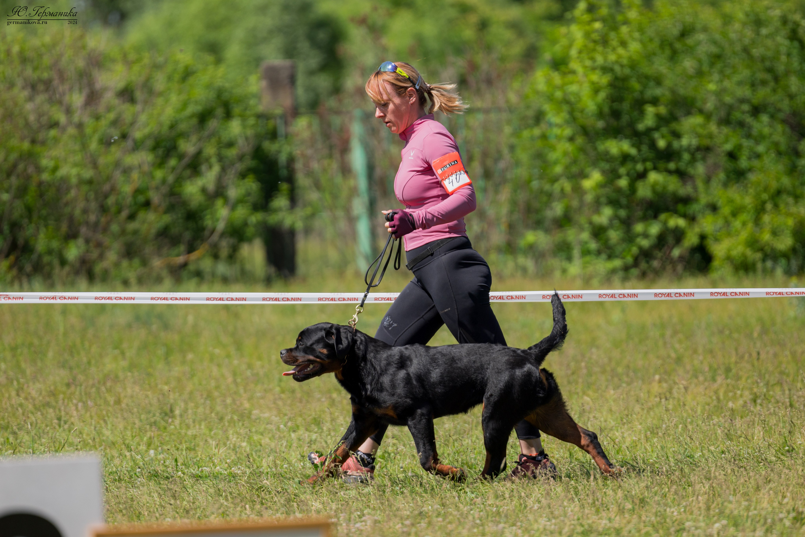 Воронеж моно ротвейлеров 25-26.05.2024. Фотограф-анималист Юлия Германика