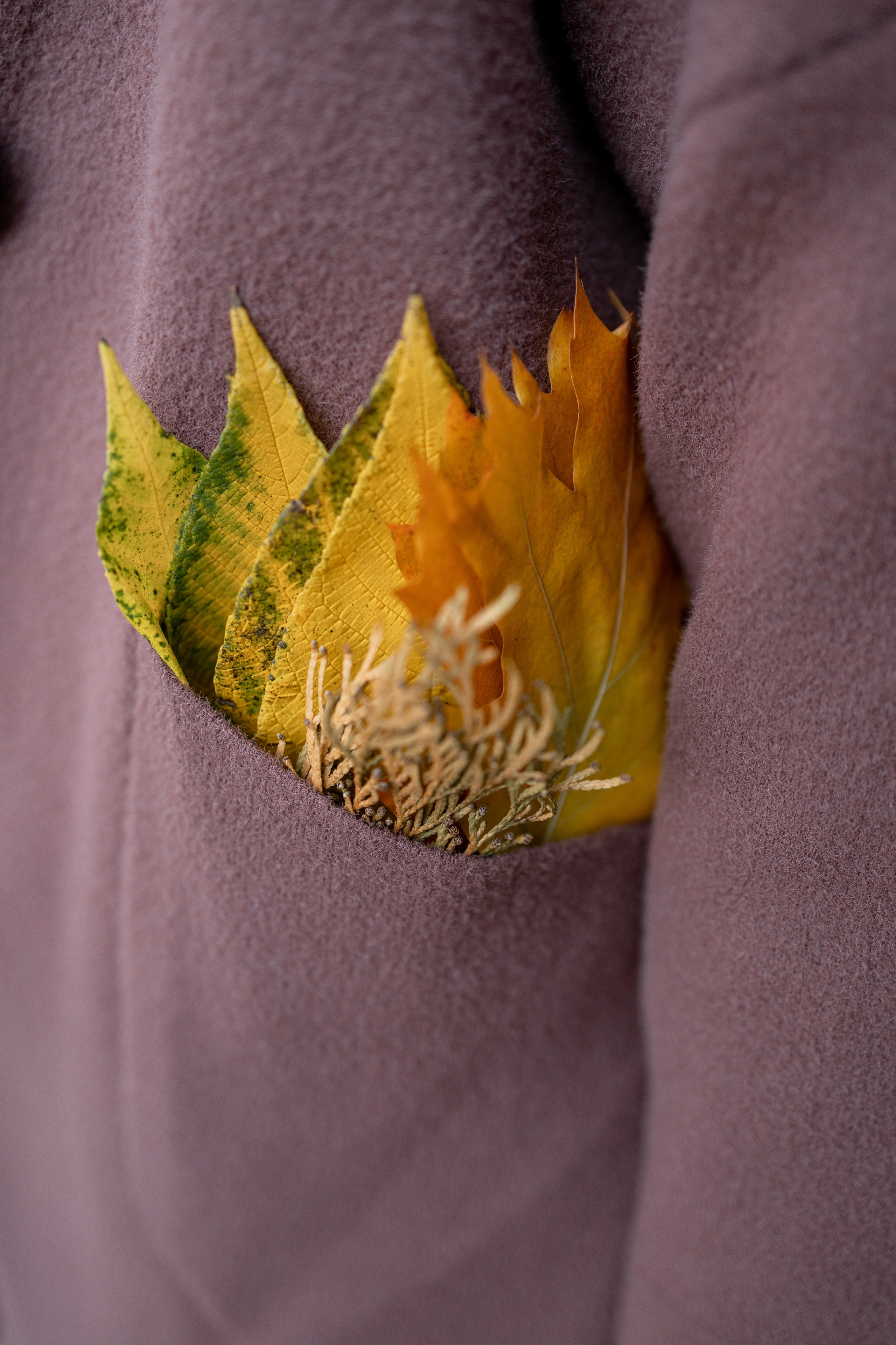 Теплая осень. Фотограф в Городце Розова Елена