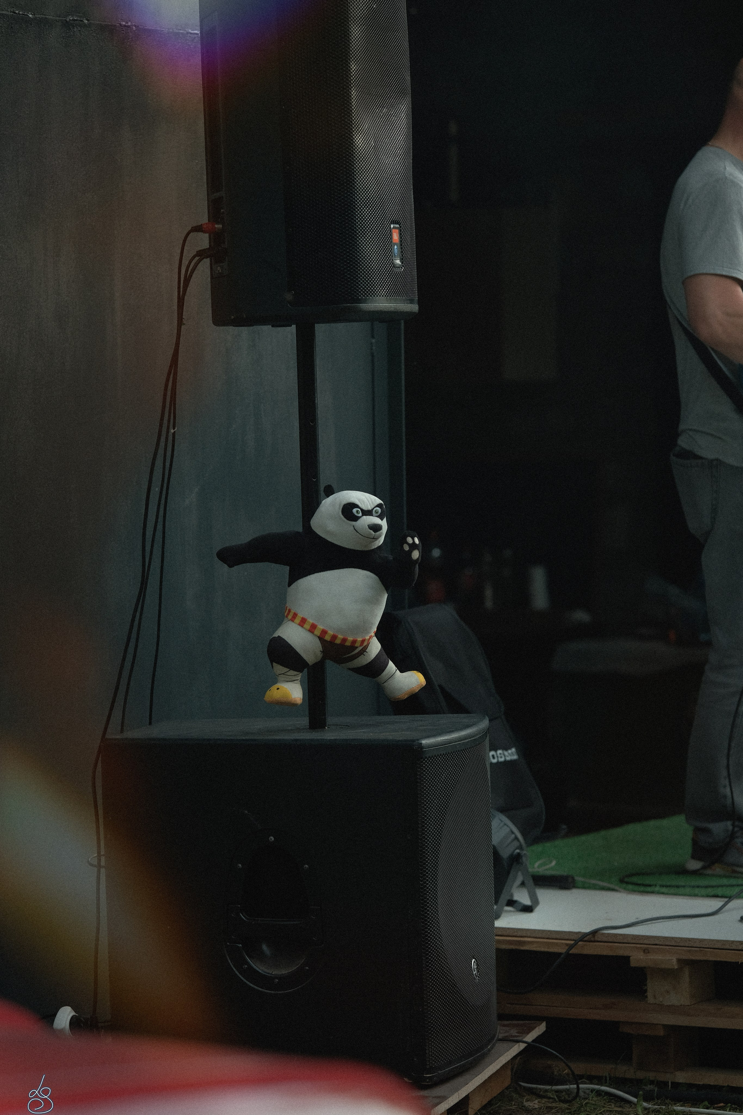 Концерт ДП ФБР. Лиза Рязанцева