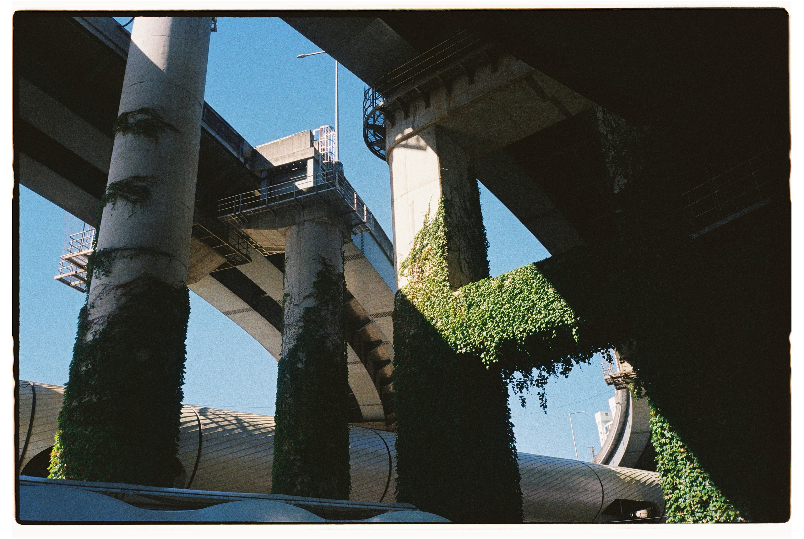 South Korea. @tomrus: Рустам Шагиморданов — фотограф