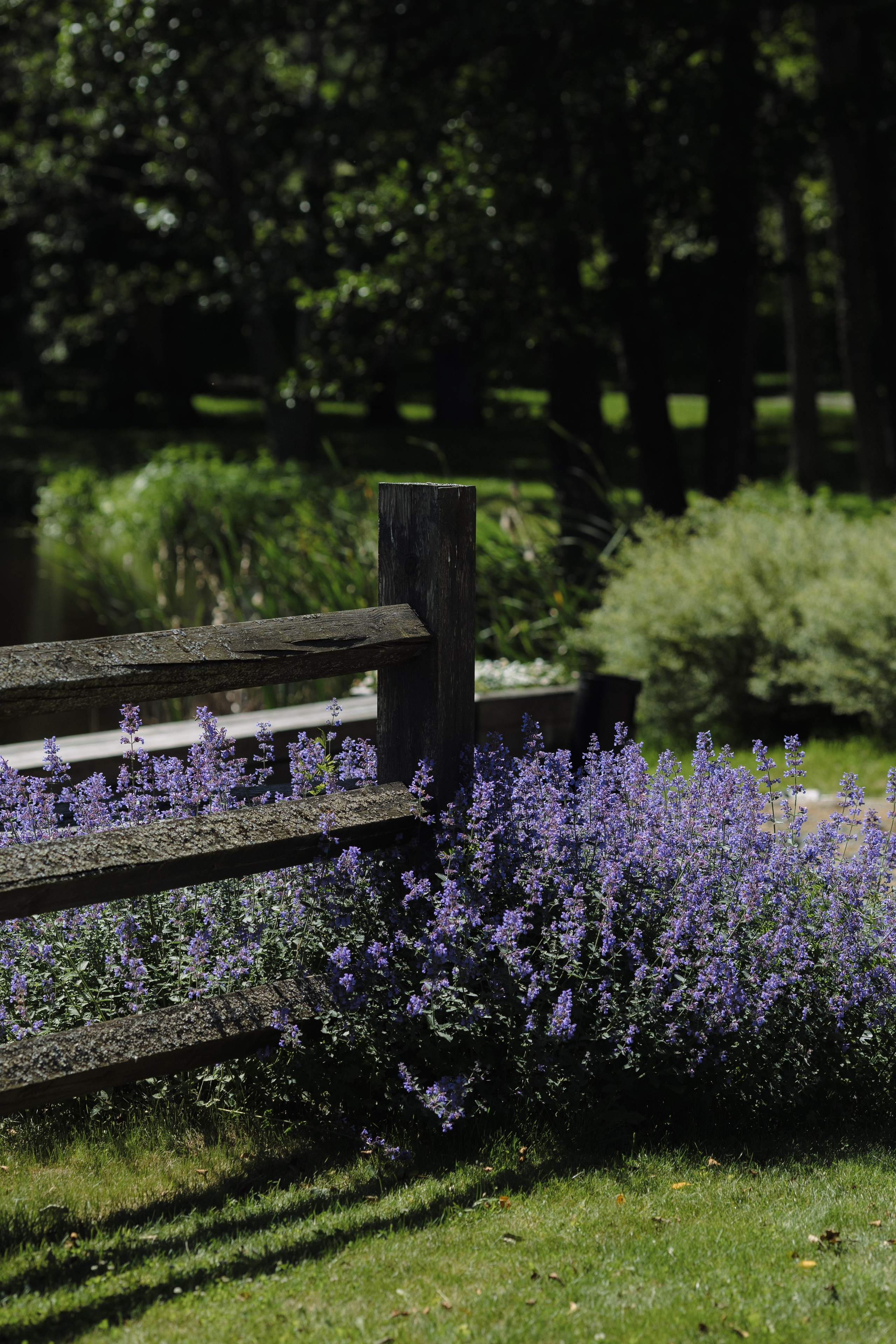 Свадебная фотосъемка в «Двор Стайки»