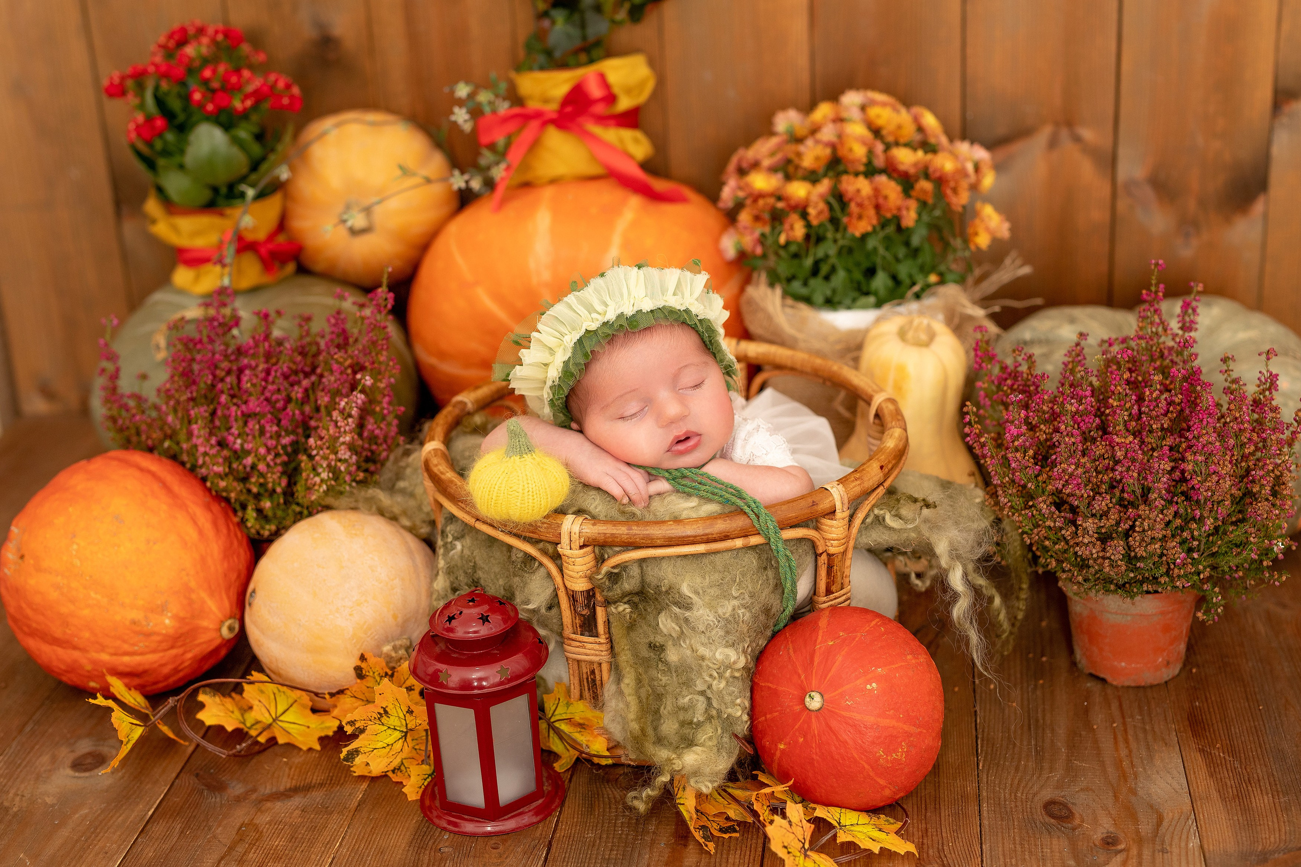 НОВОРОЖДЕННЫЕ. Фотограф новорожденных г. Тула