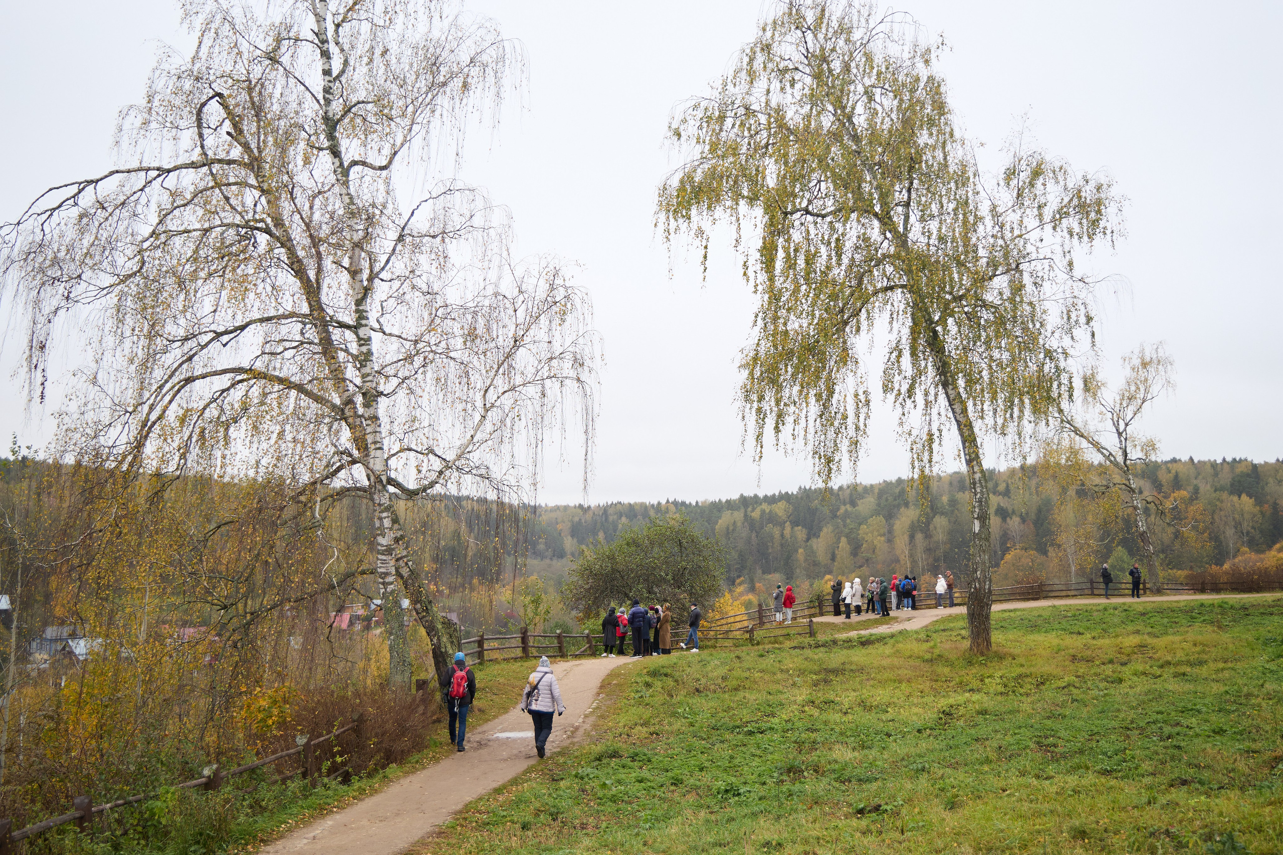 Пейзажи. Свадебный и репортажный фотограф в Воронеже Сергей Максимов