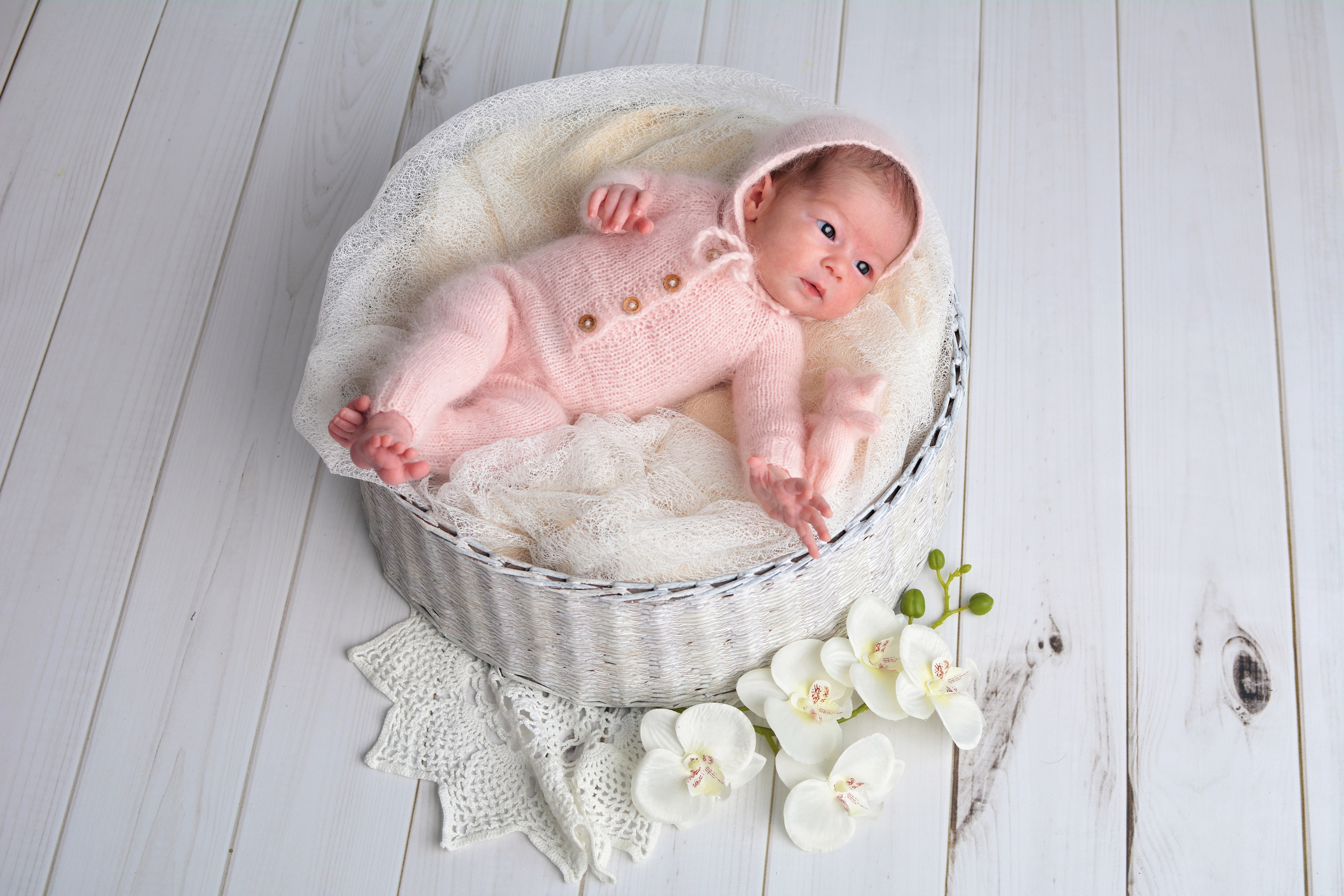 Дарья, 14 дней. Главная