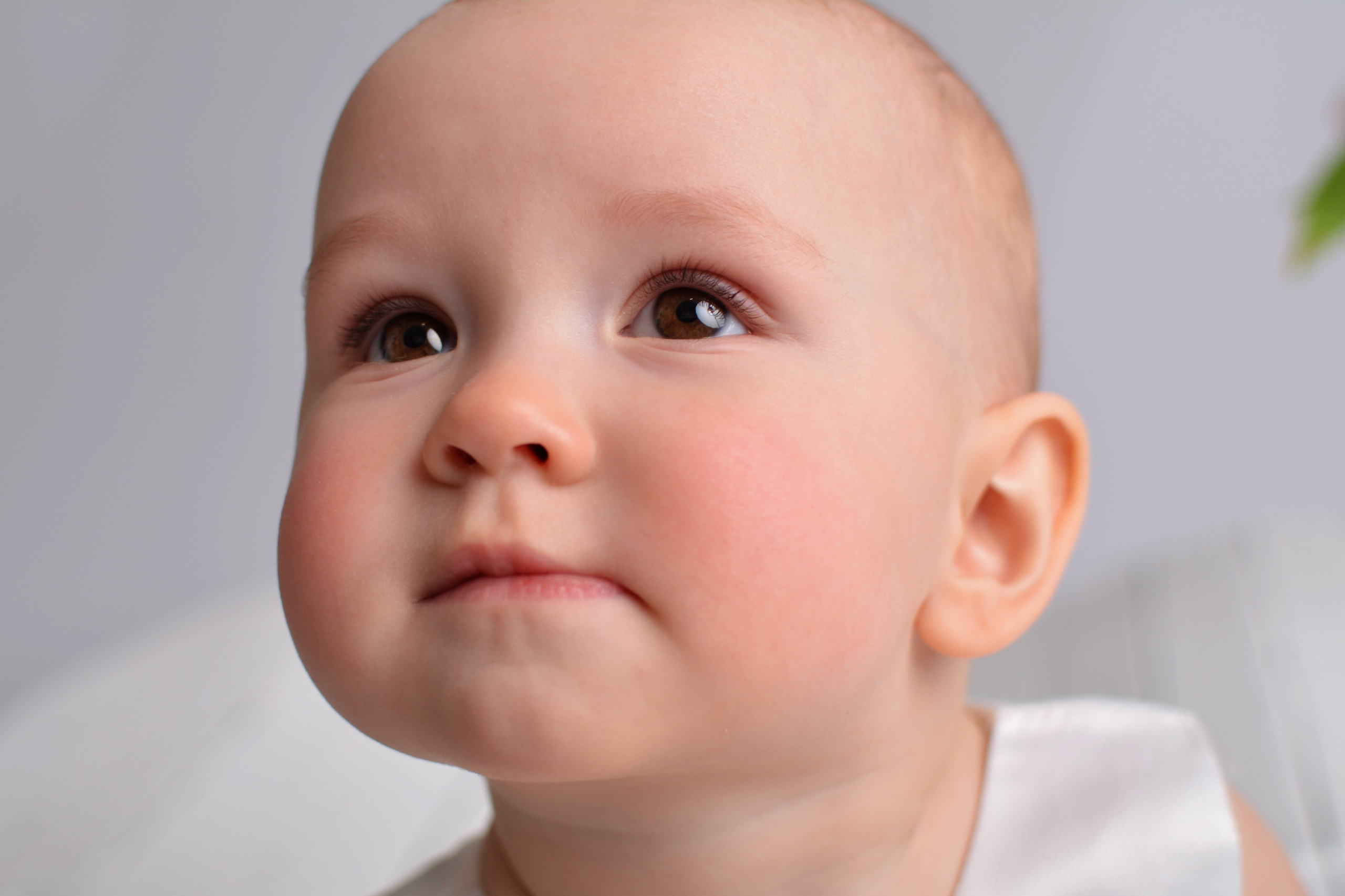 Варвара, 11 месяцев. Главная