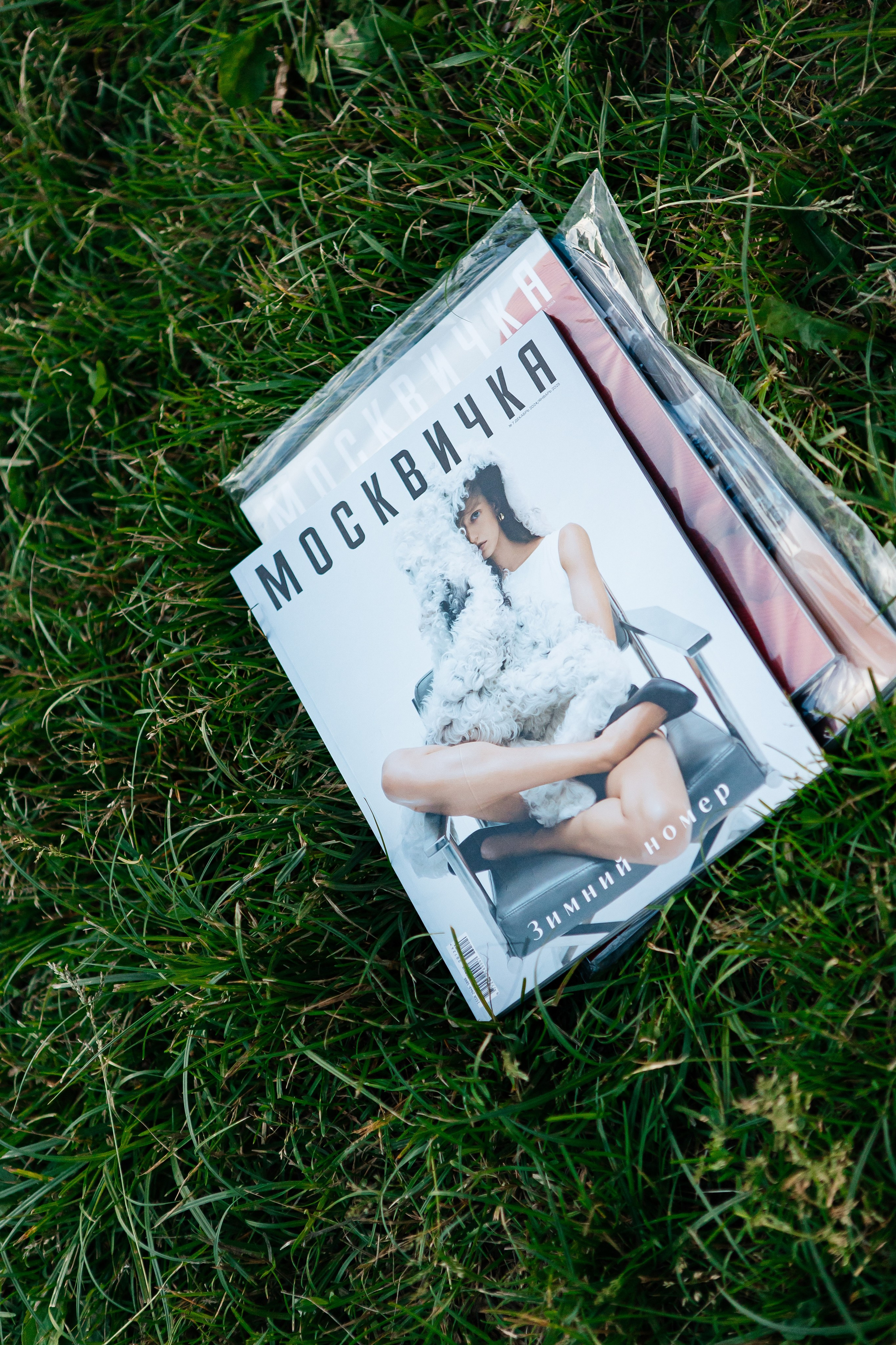 Пикник Афиши 2025. Фотограф в Москве Влад Ярчевский